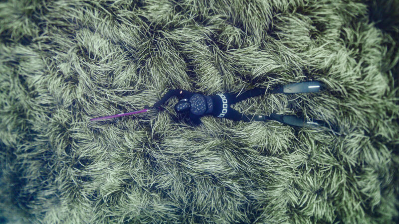 Comment choisir ses accessoires de chasse sous-marine ?