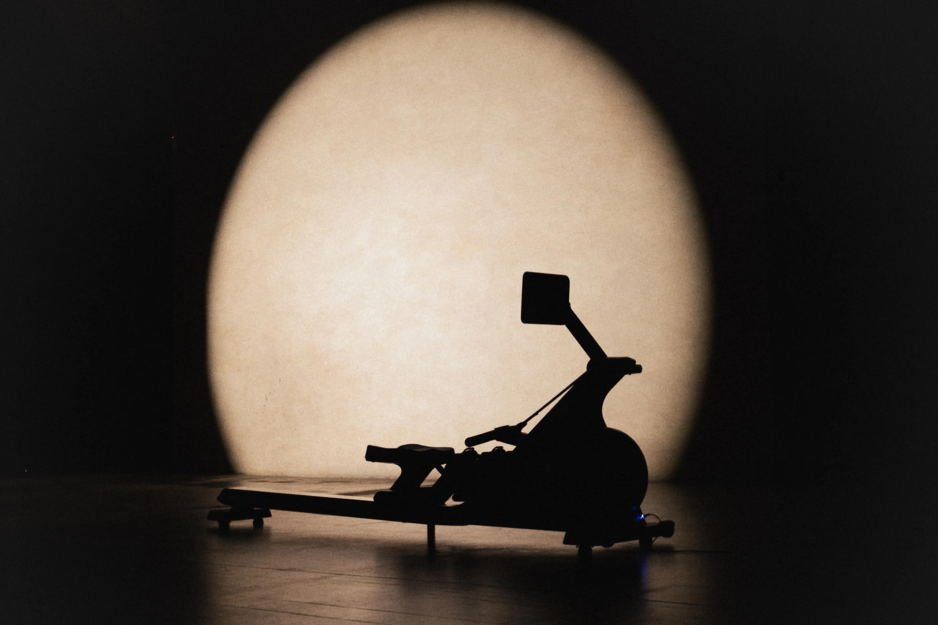 Aparat de vâslit conectat și compact, Training rower 900 20/29