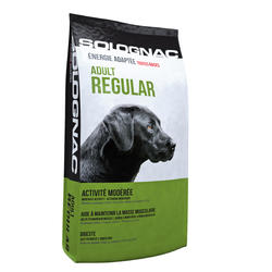 Alimentation chien Adult Regular 12kg