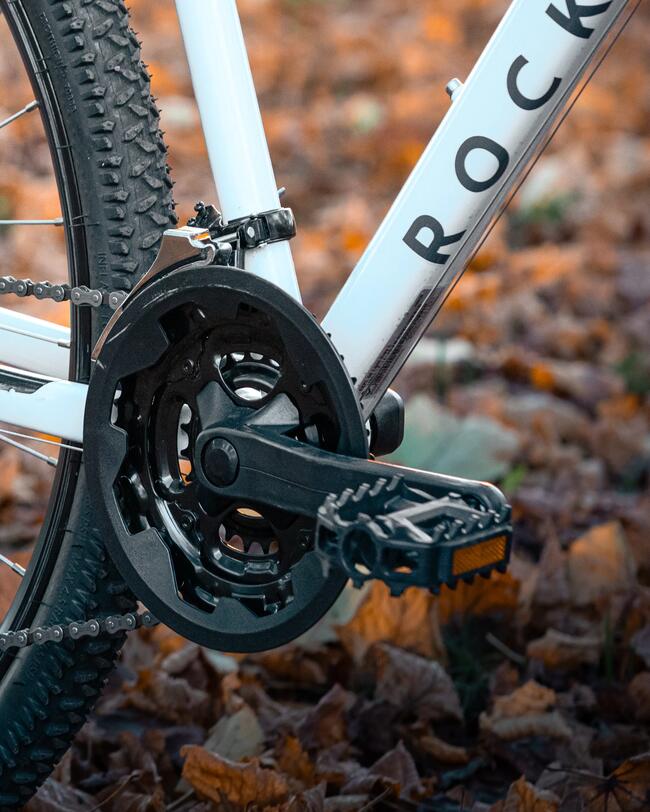 Schwarze Kurbelgarnitur eines Fahrrads mit Flachpedalen mit Reflektoren vor herbstlichem Hintergrund