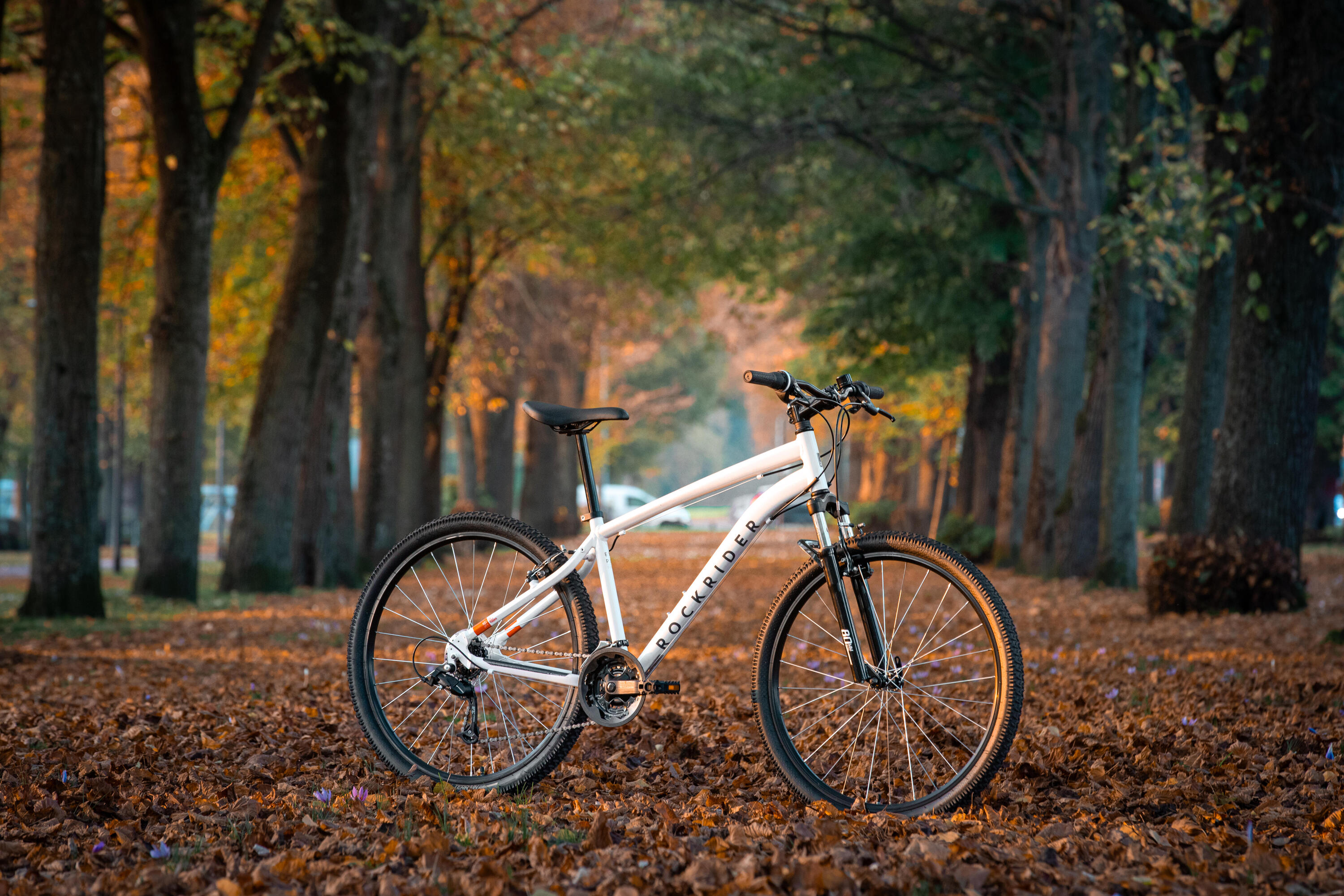 Mtb escursionismo EXPL 50 grigio chiaro 21/21