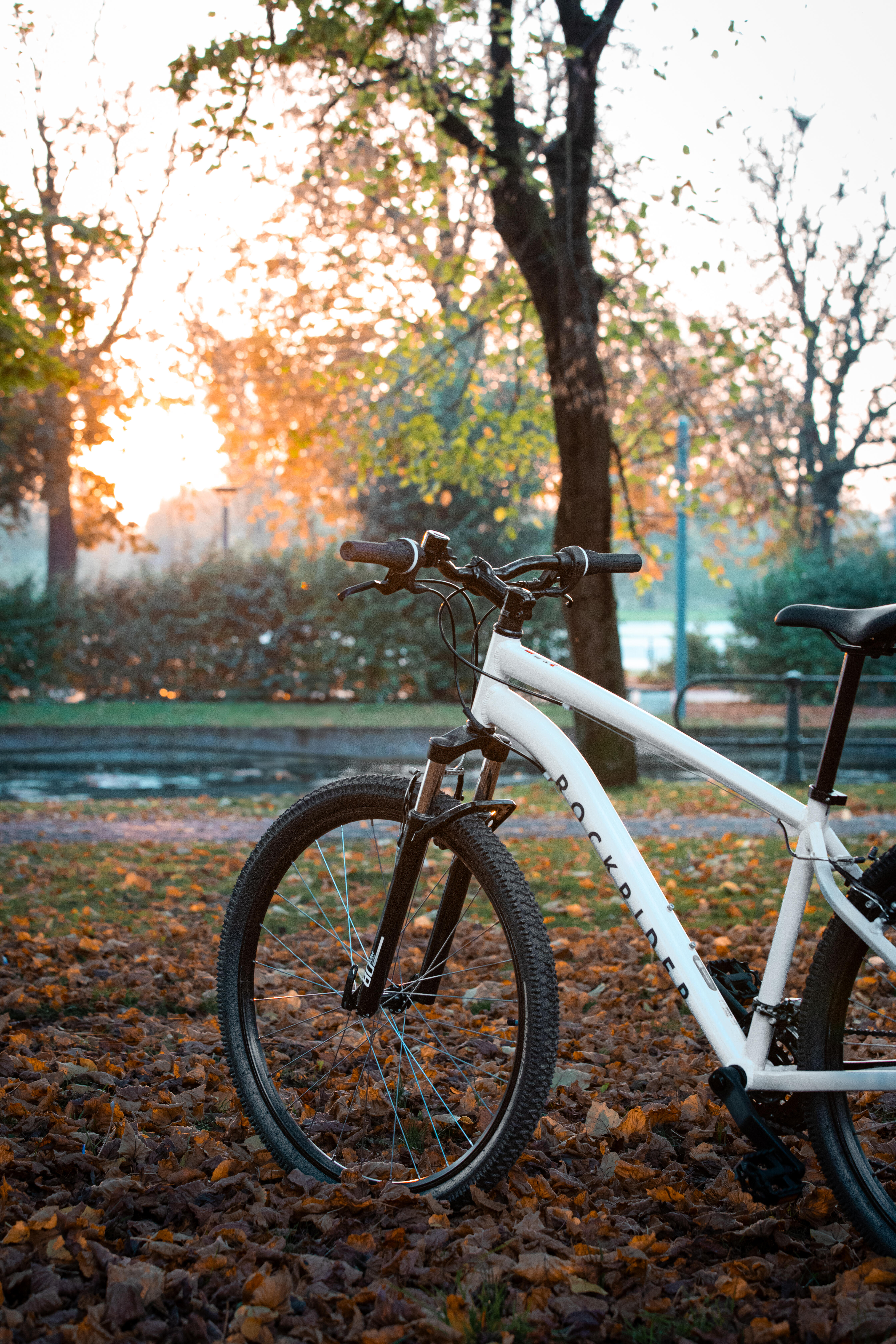 vélos