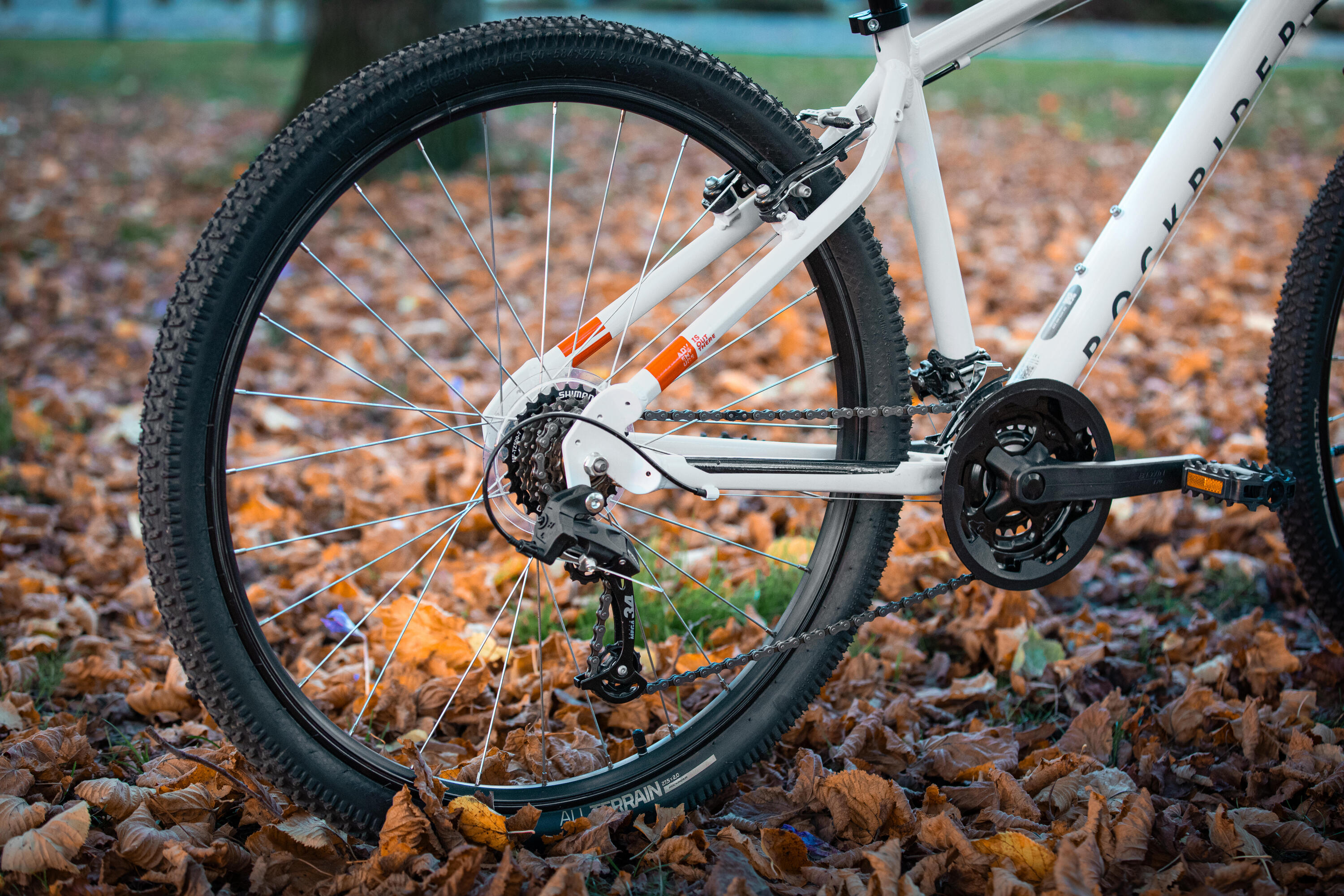 Vélo vtt randonnée - expl 50 gris clair 11/13