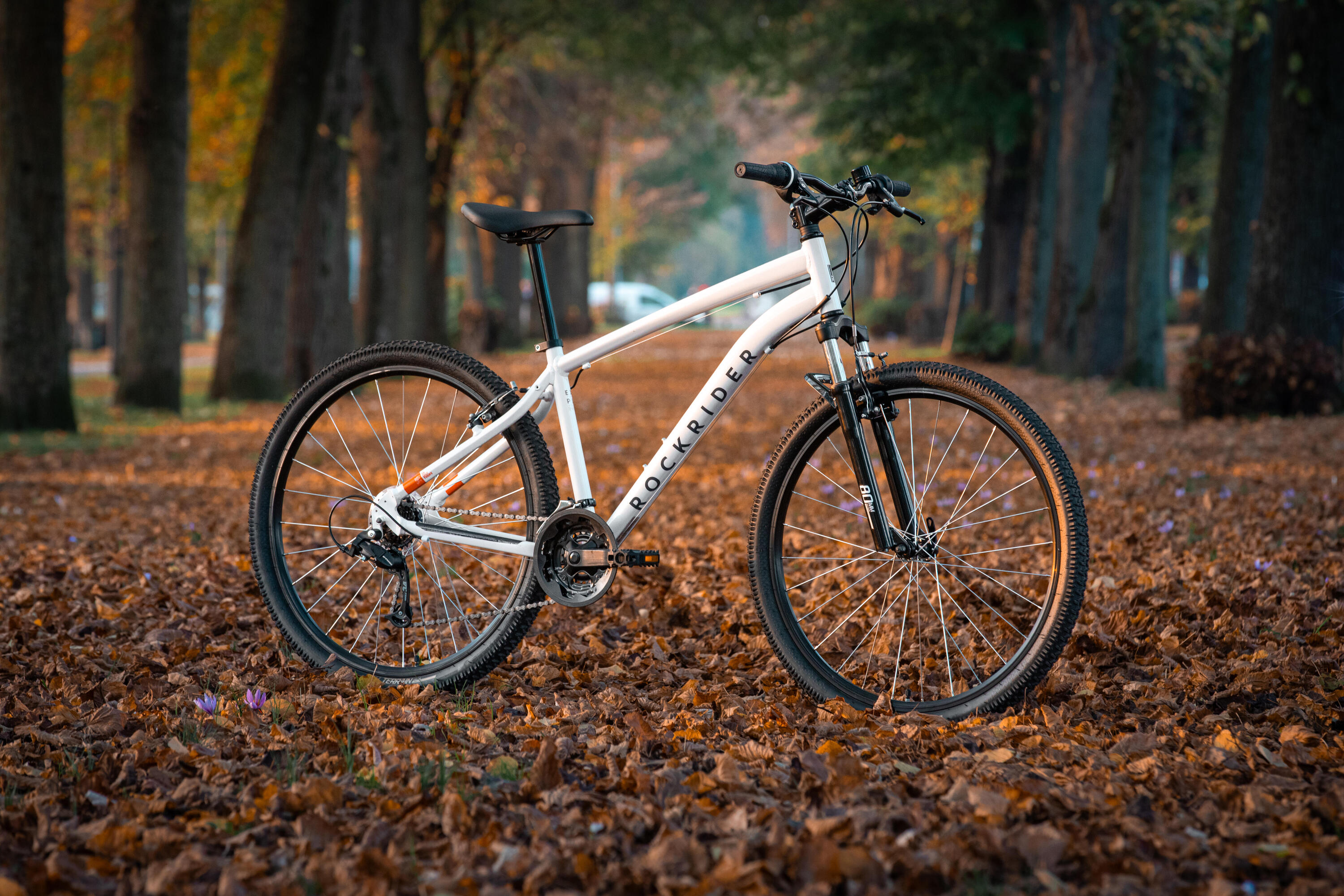 Mtb escursionismo EXPL 50 grigio chiaro 17/21