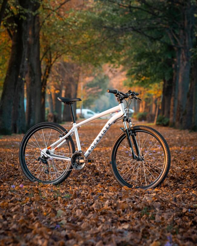 bicicletas de montaña