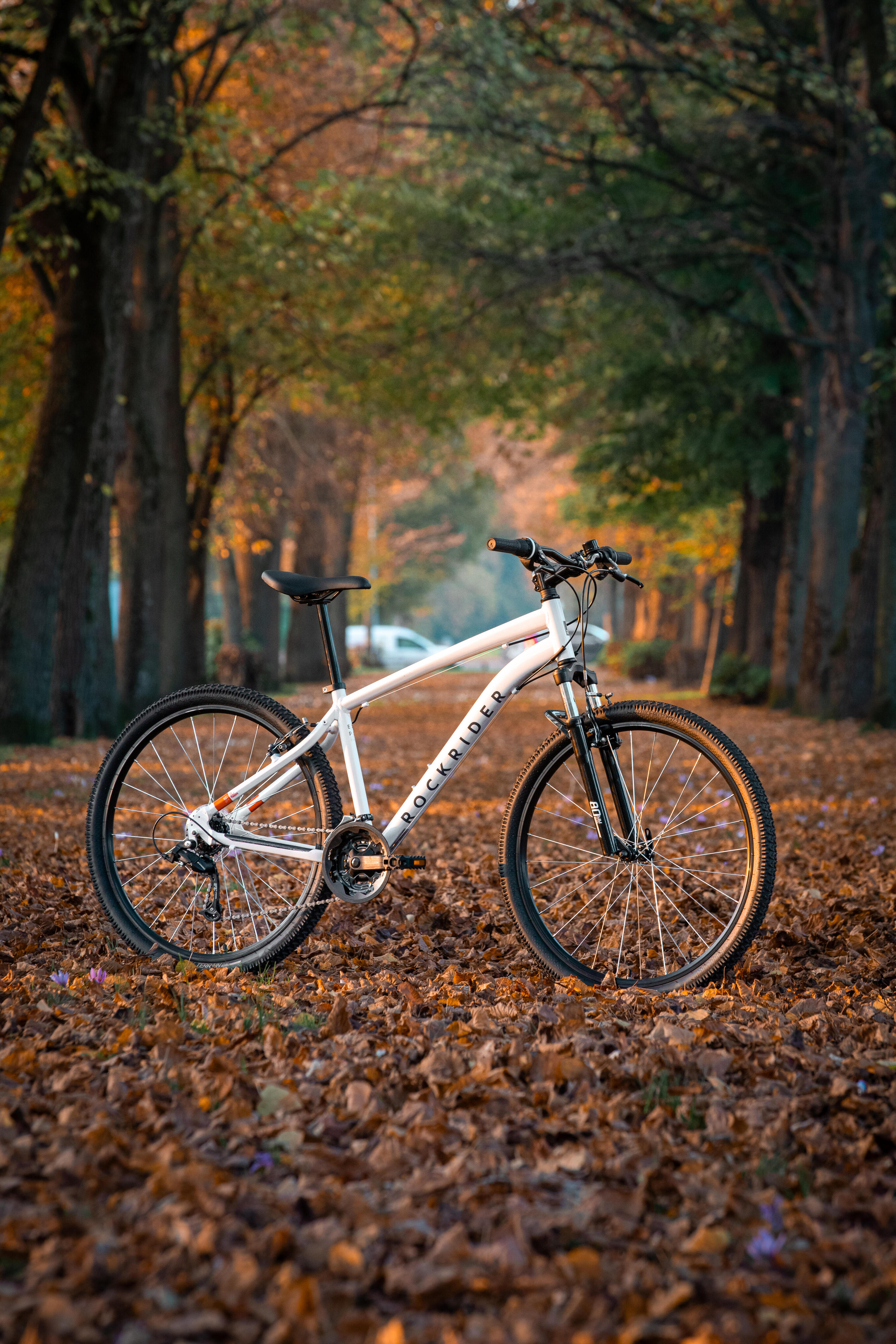 Mountainbike 27,5 Zoll EXPL 50 hellgrau 9/10
