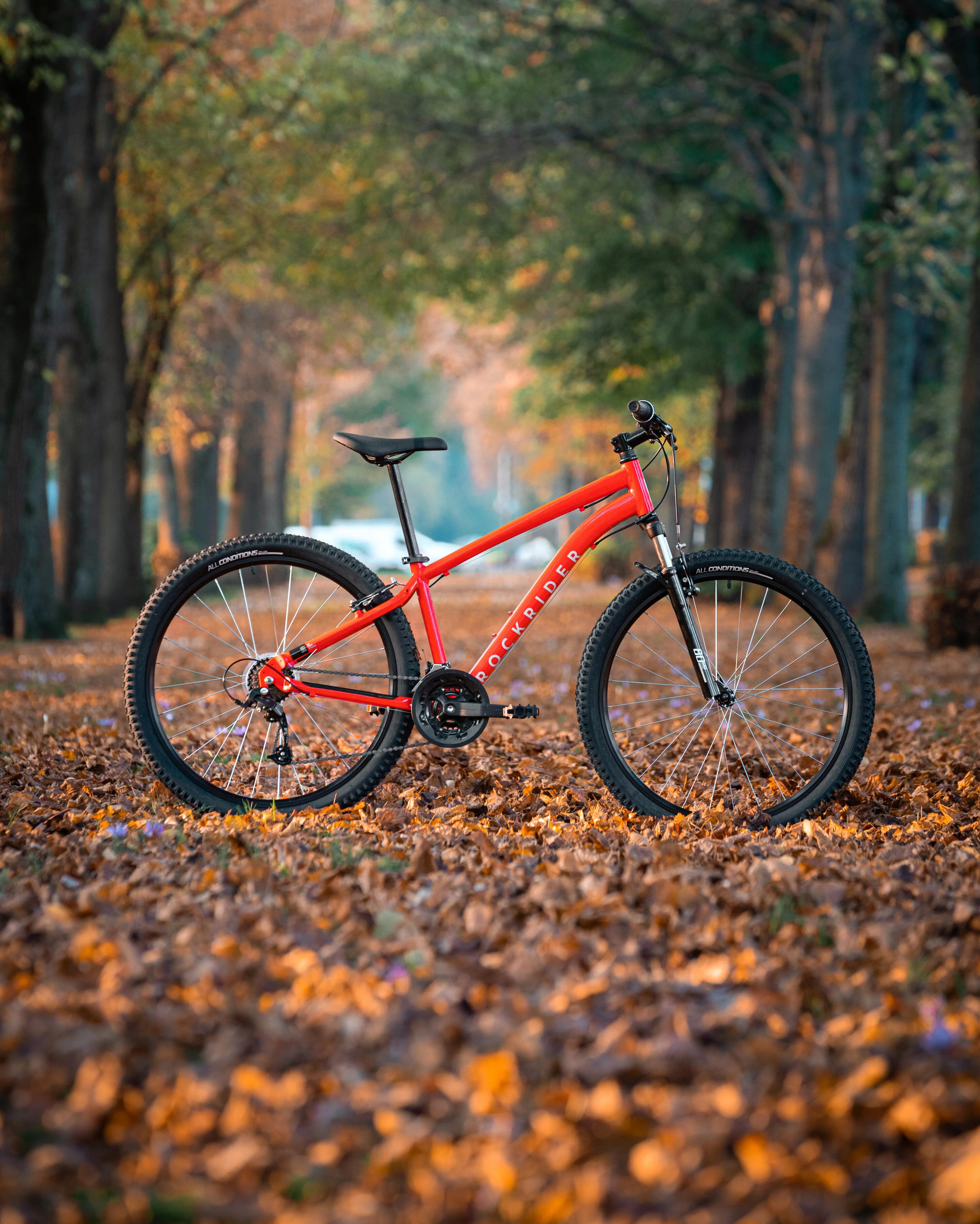 bicicletas de ciclismo