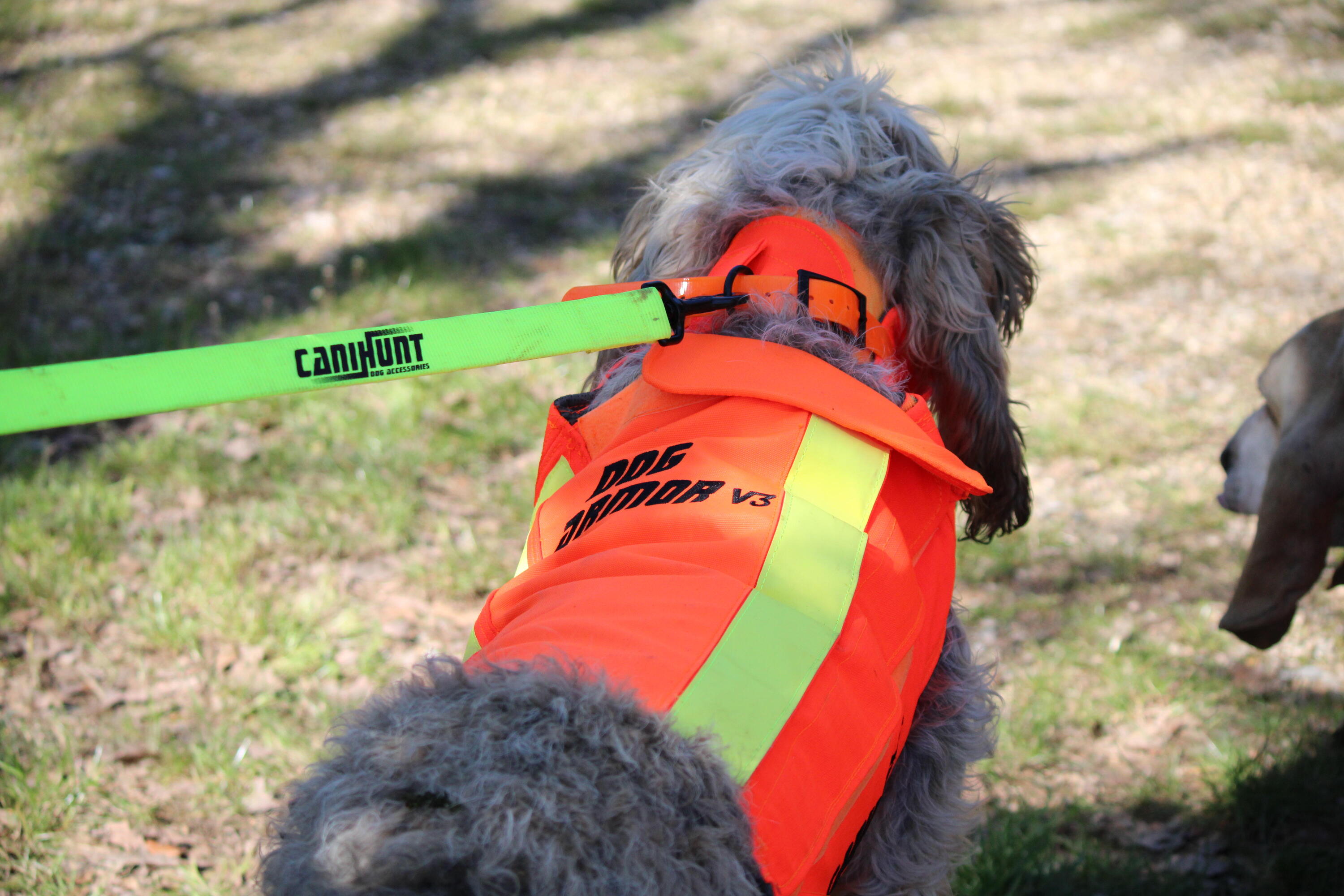 Gilet de protection pour chien Canihunt Dog Armor V3 10/14