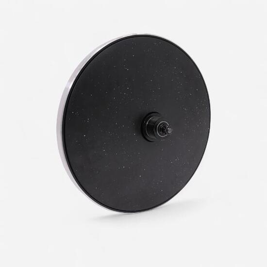 TRAINING BIKE - ROUE INERTIE