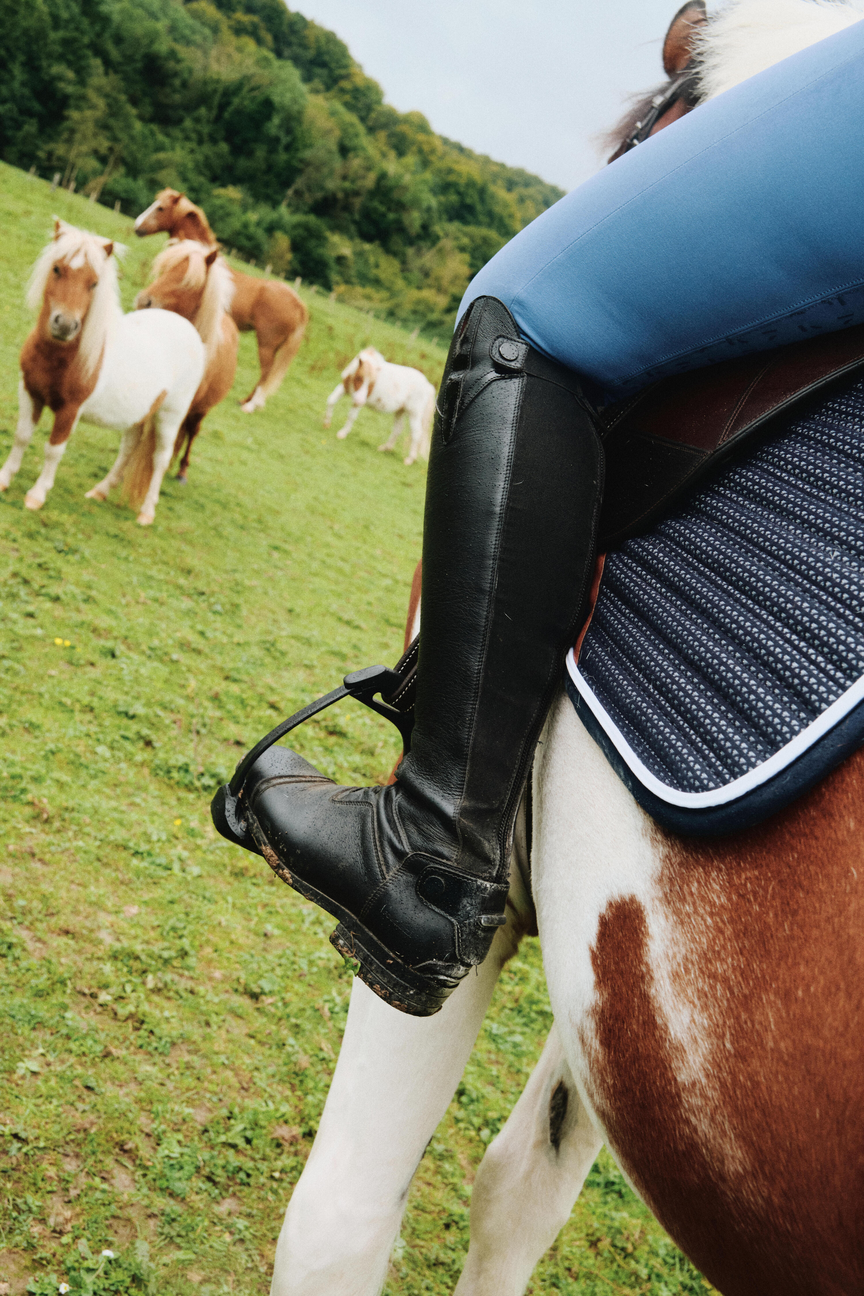 Pantalon équitation full grip femme - 900 bleu comète 11/13