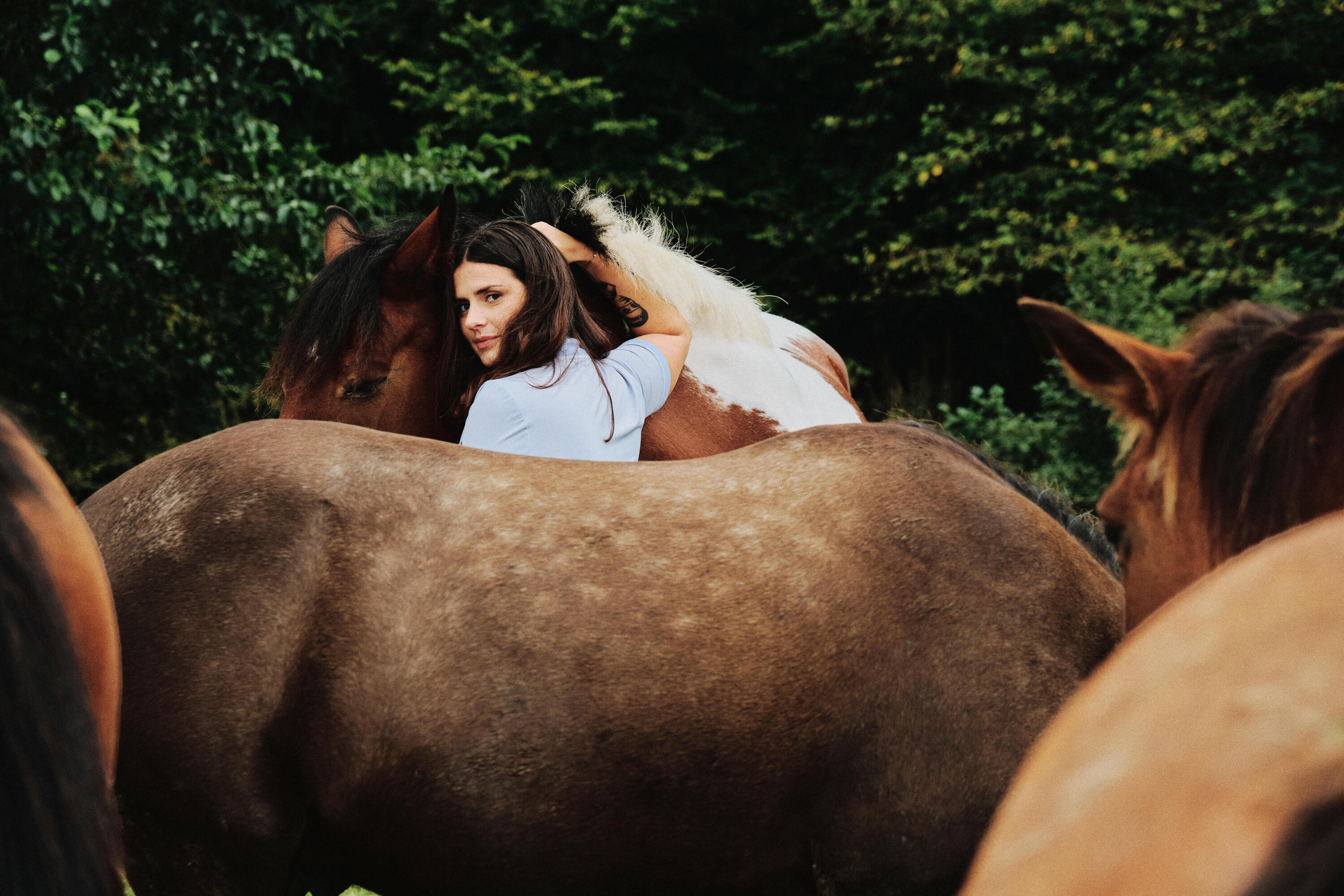 Polo d'équitation à manches courtes femme - Héritage violet 6/8