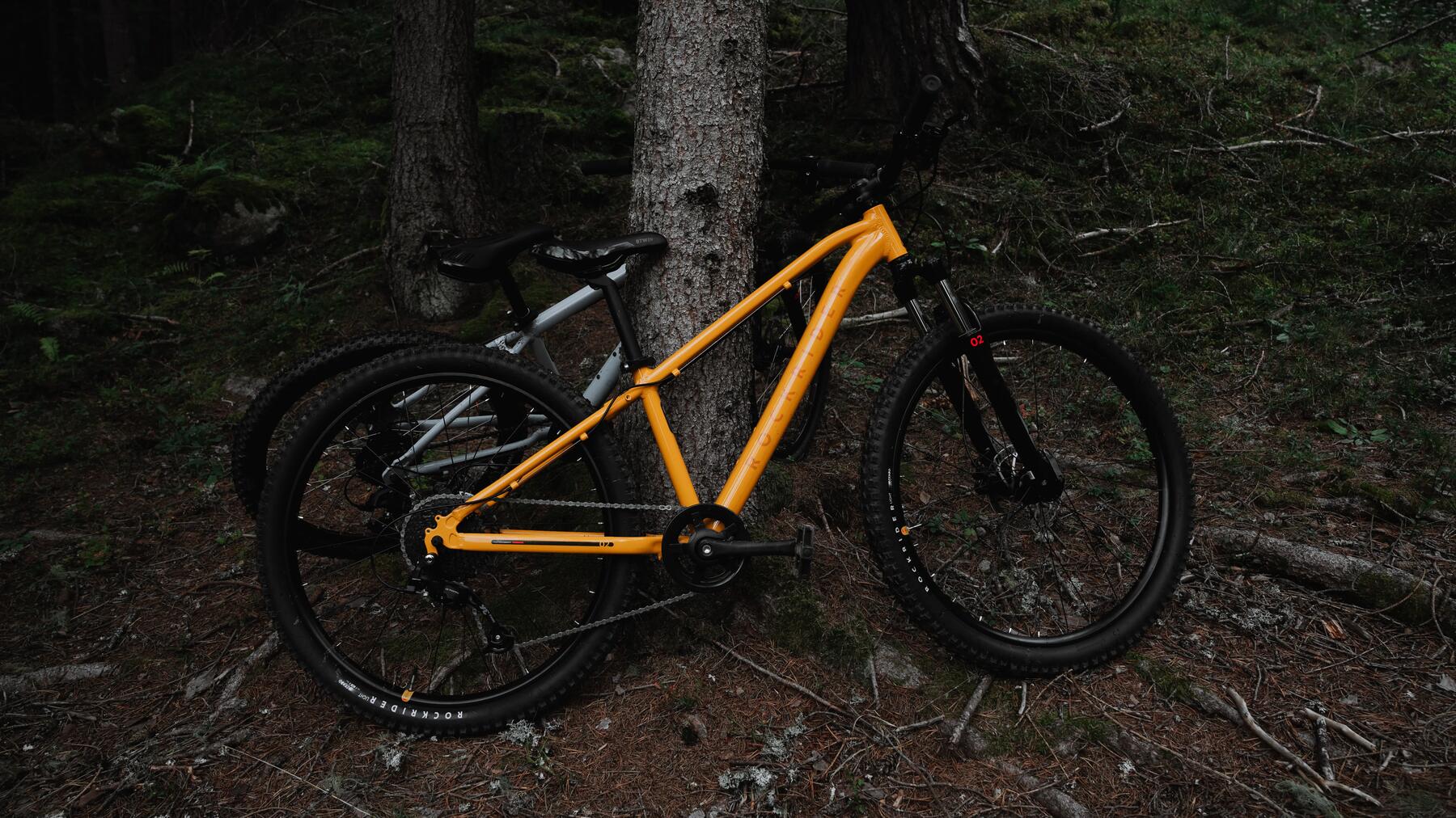 Mountainbikes lehnen an einem Baum