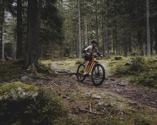 Rowerzyści jadący na rowerach MTB w Zakopanem