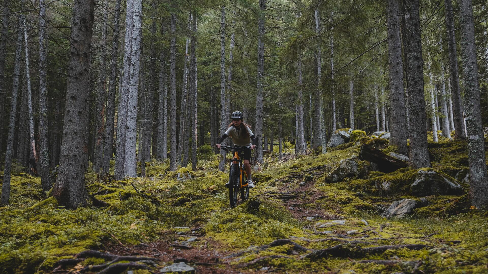 MTB ROCKRIDER 900 S