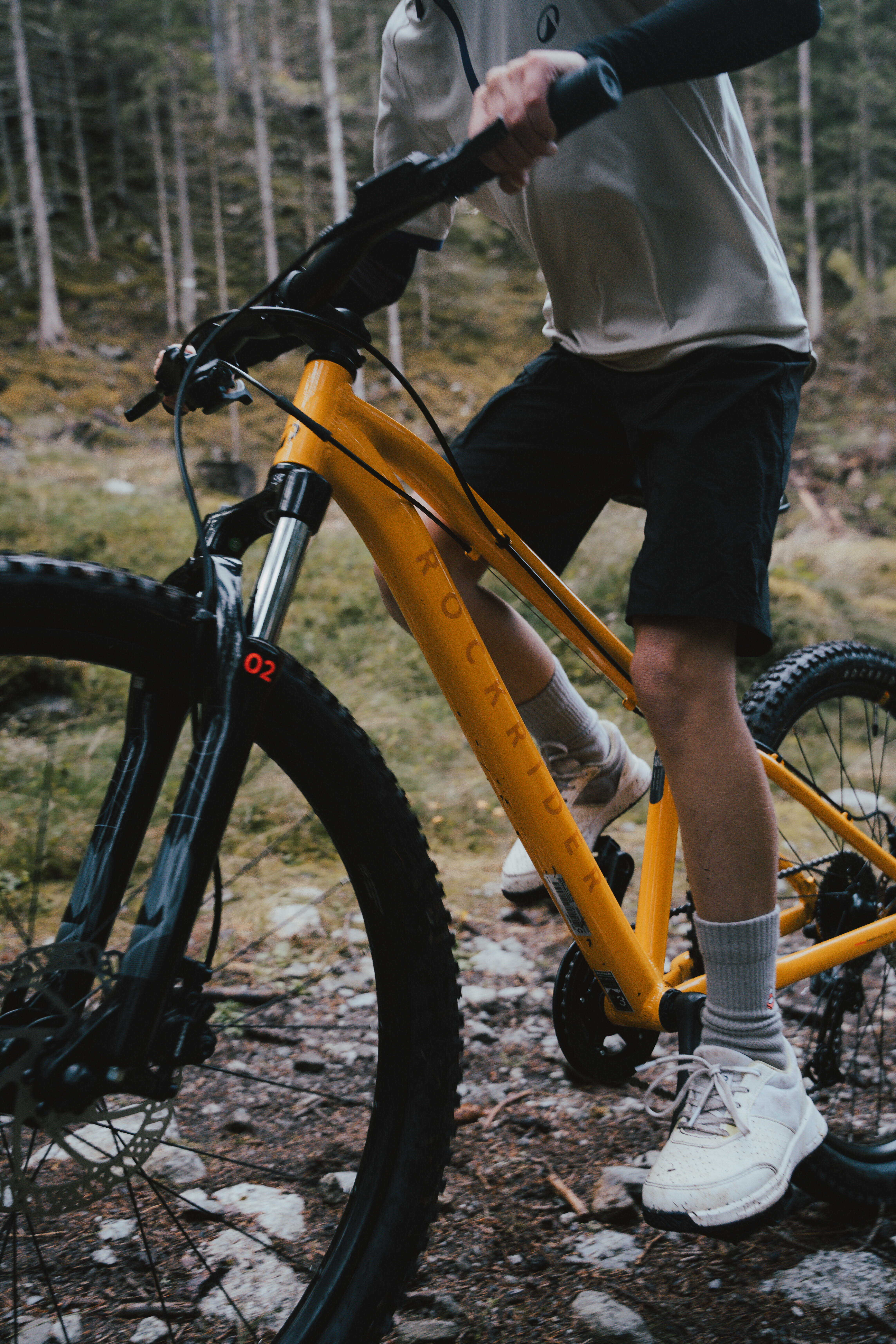Mountain bike elettriche