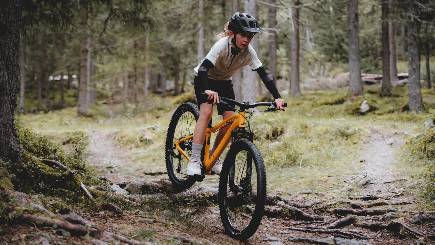 Wielmaat 26"