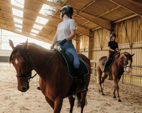 Renforcements et punitions pour l'apprentissage du cheval