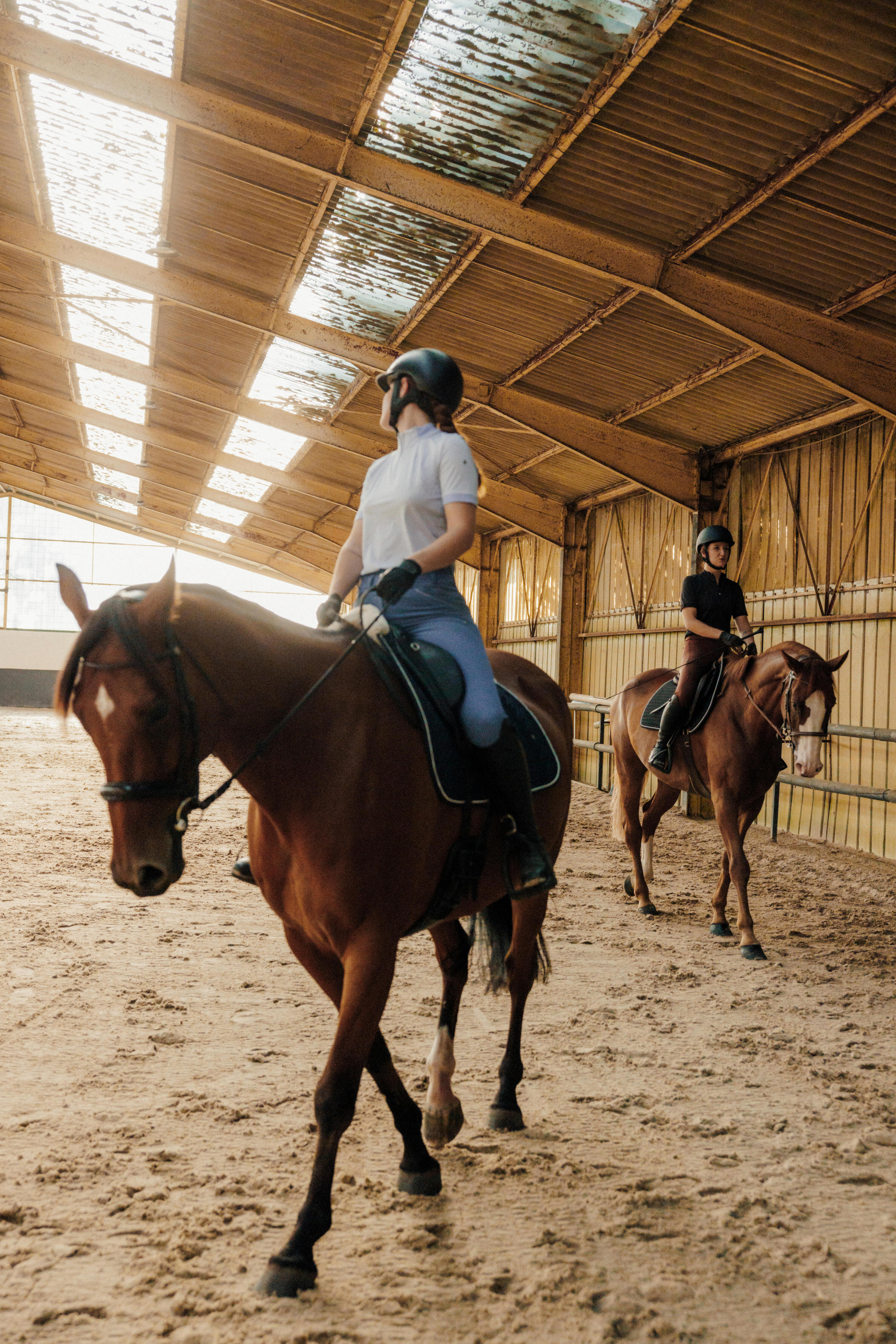 Pantalon équitation full grip femme - 900 bleu comète 10/13