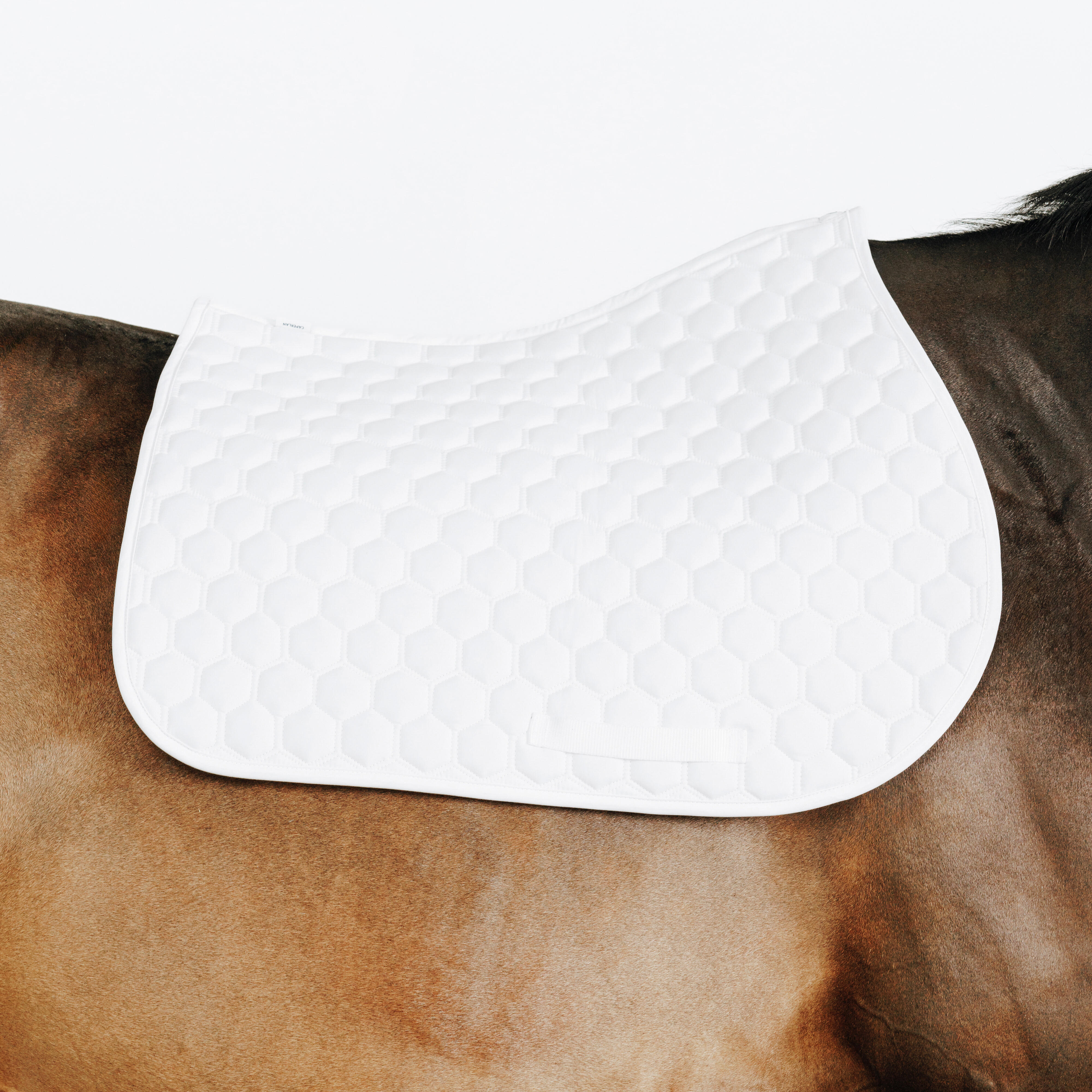 Horse/Pony Show Saddle Cloth - 500 - FOUGANZA