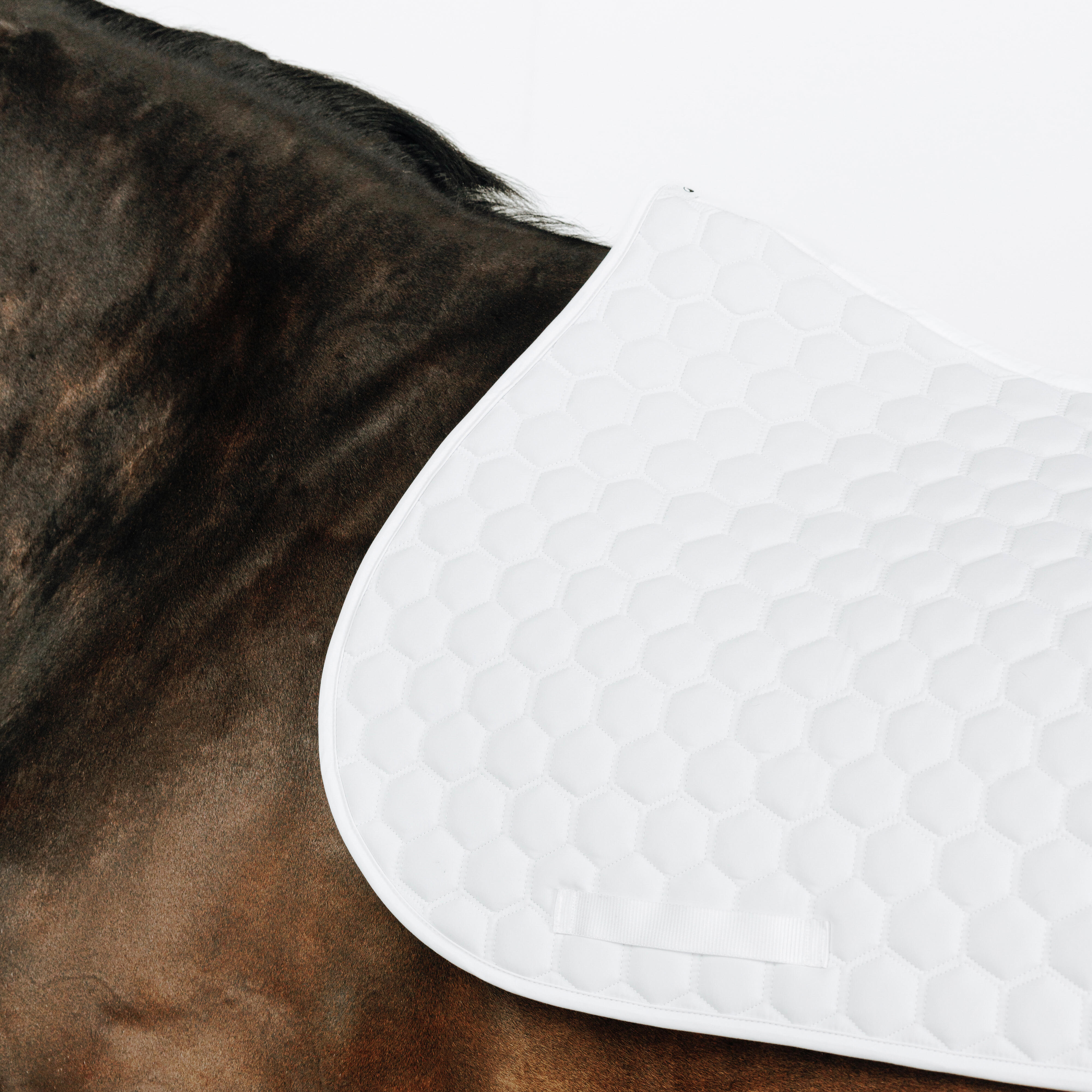 Horse/Pony Show Saddle Cloth - 500 - FOUGANZA