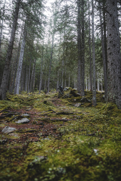 vtt cross country