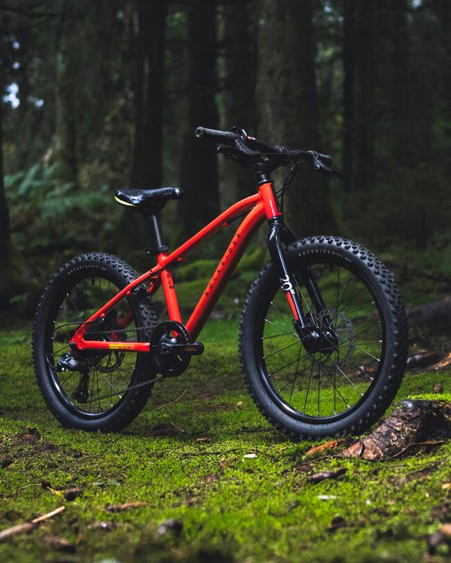 Cross-Country-Mountainbike