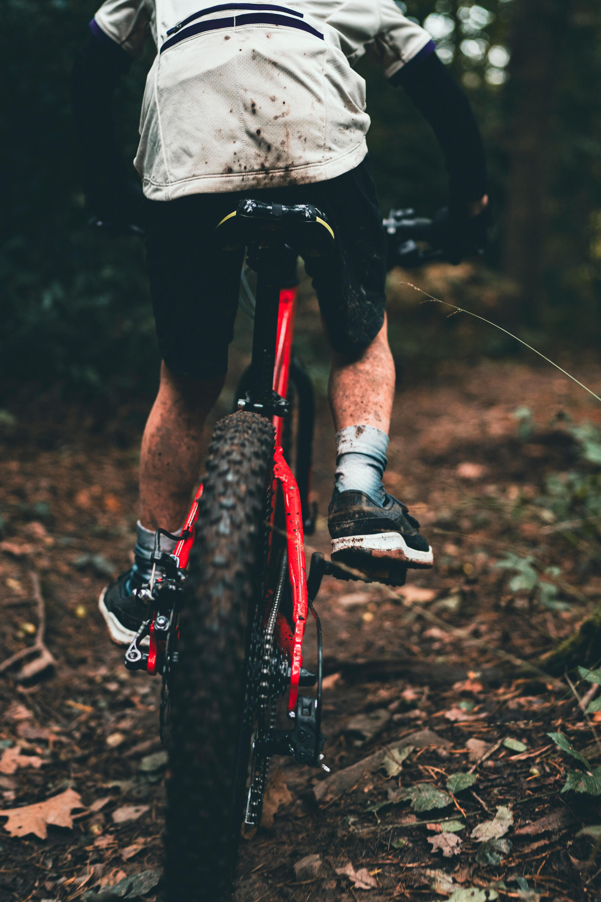La randonnée à VTT : quel équipement pour les enfants ?<br>