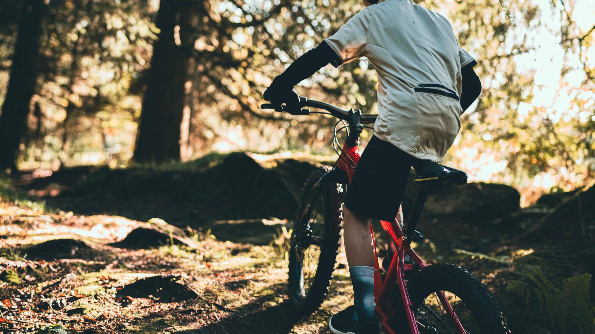 MTB ROCKRIDER ST 540 GRAU/ROT