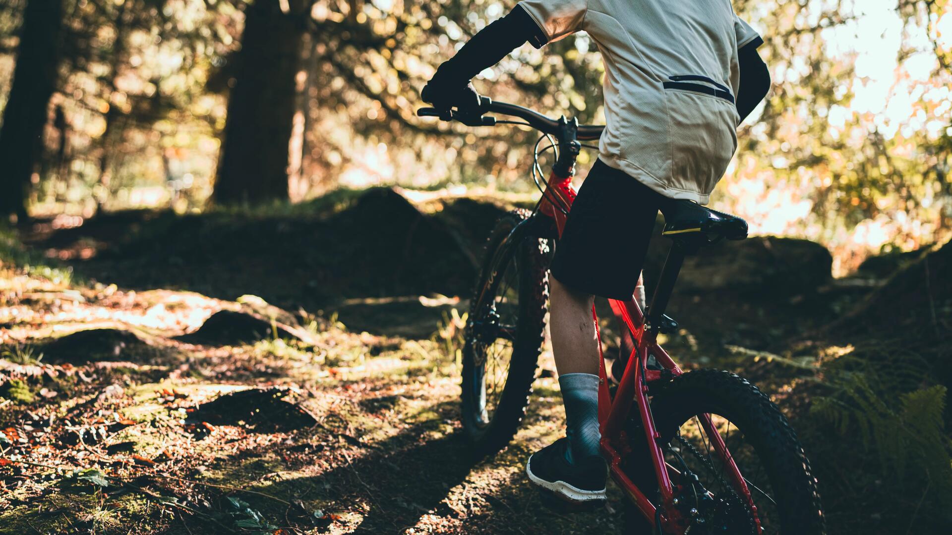 MTB ROCKRIDER ST 900 GRAU/ORANGE