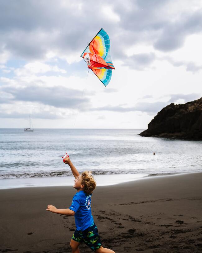 Junge am Strand beim Drachensteigen. 