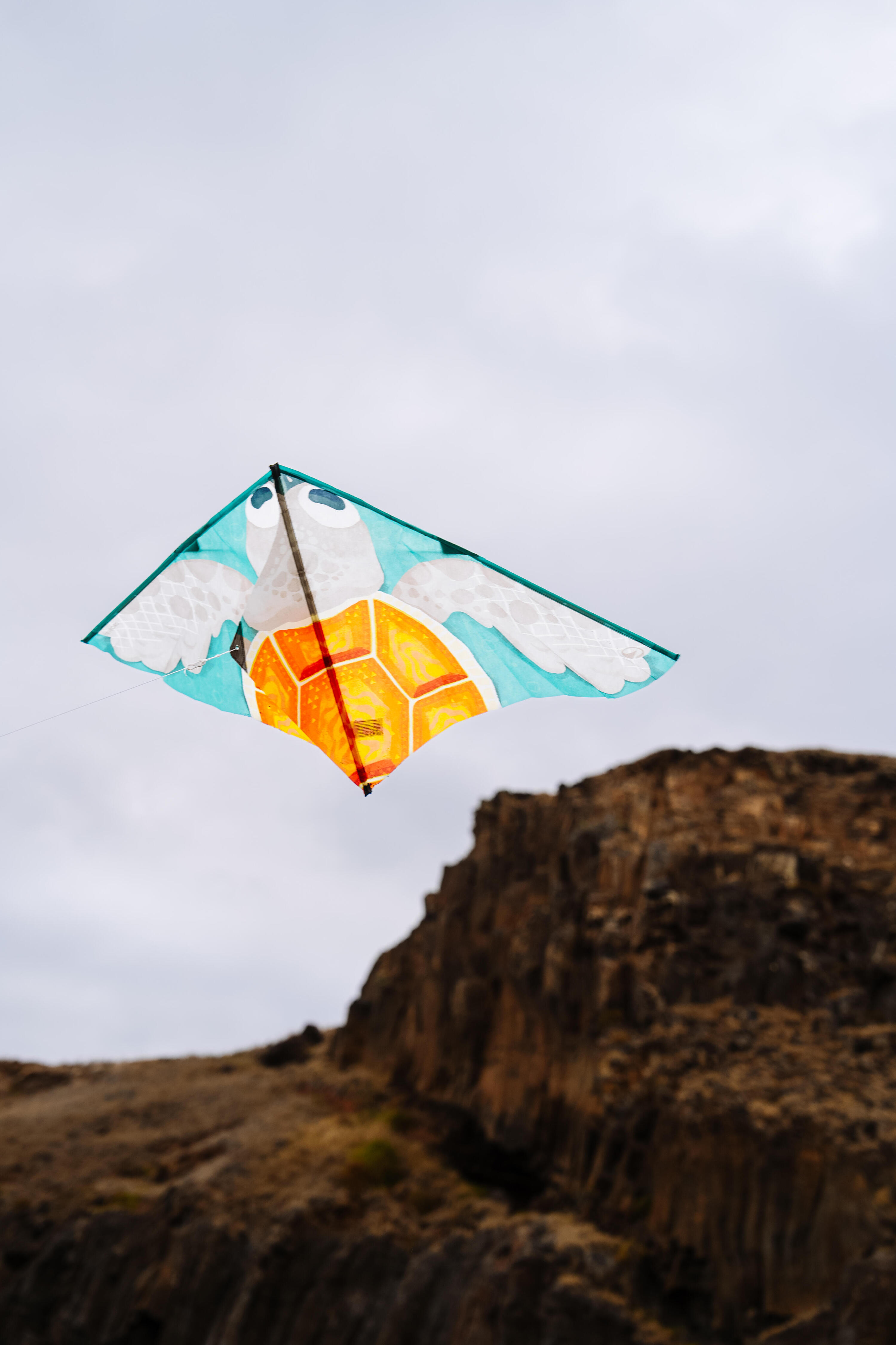 Cerf-volant statique enfant – MFK 100 tortue 9/10