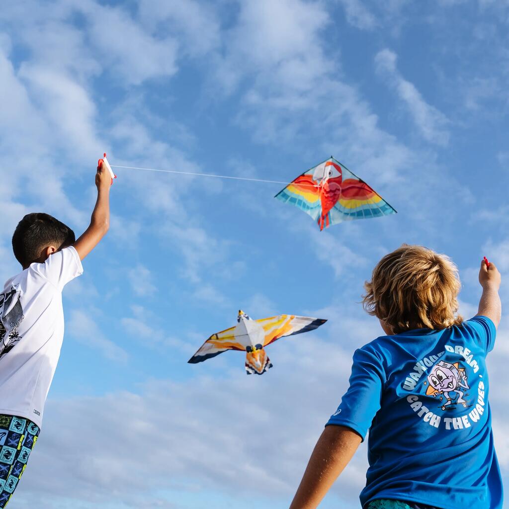 Cerf-volant statique Enfant  - MFK150 Oiseau