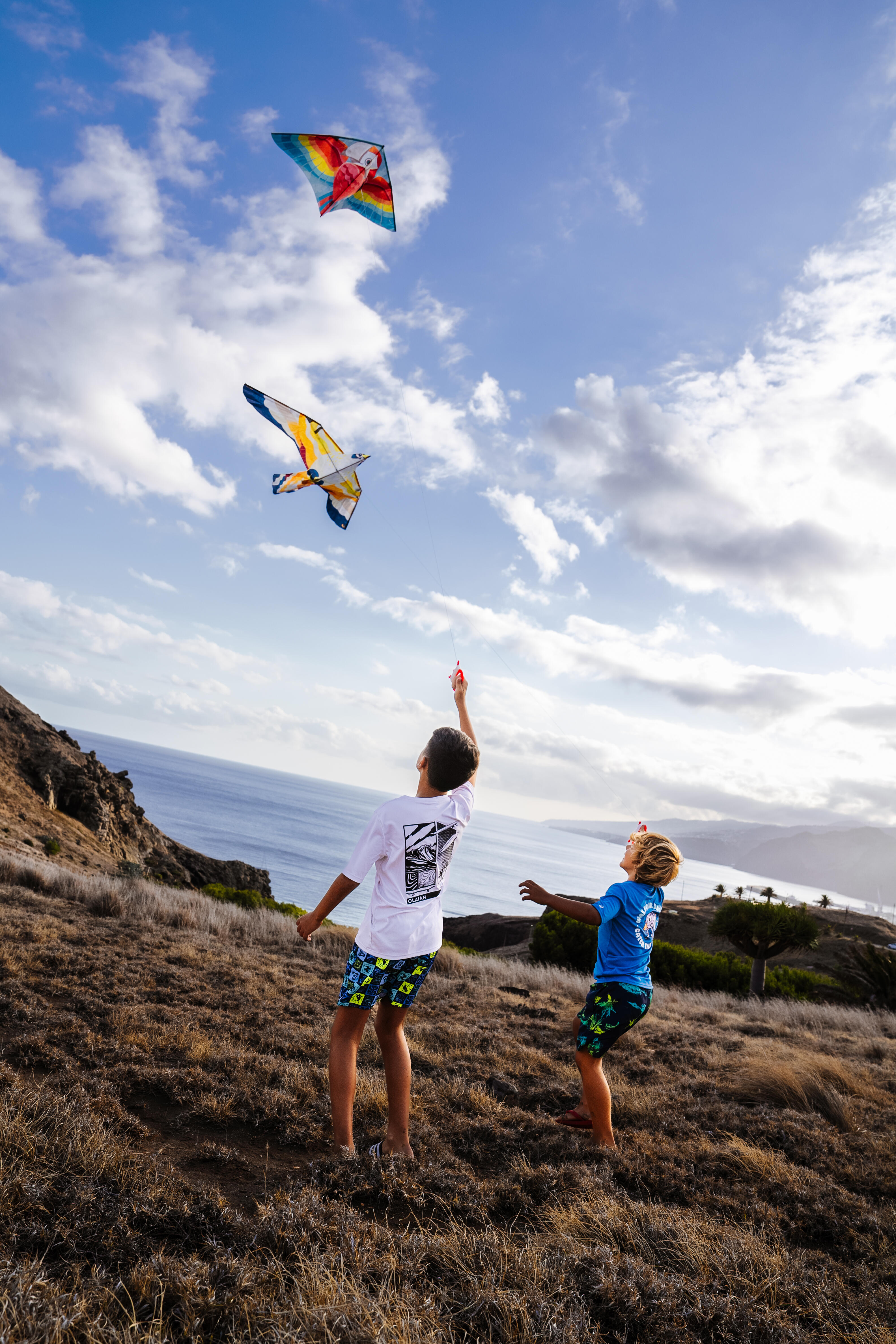 Kids’ Static Kite – MFK 100 Parrot - TRIBORD