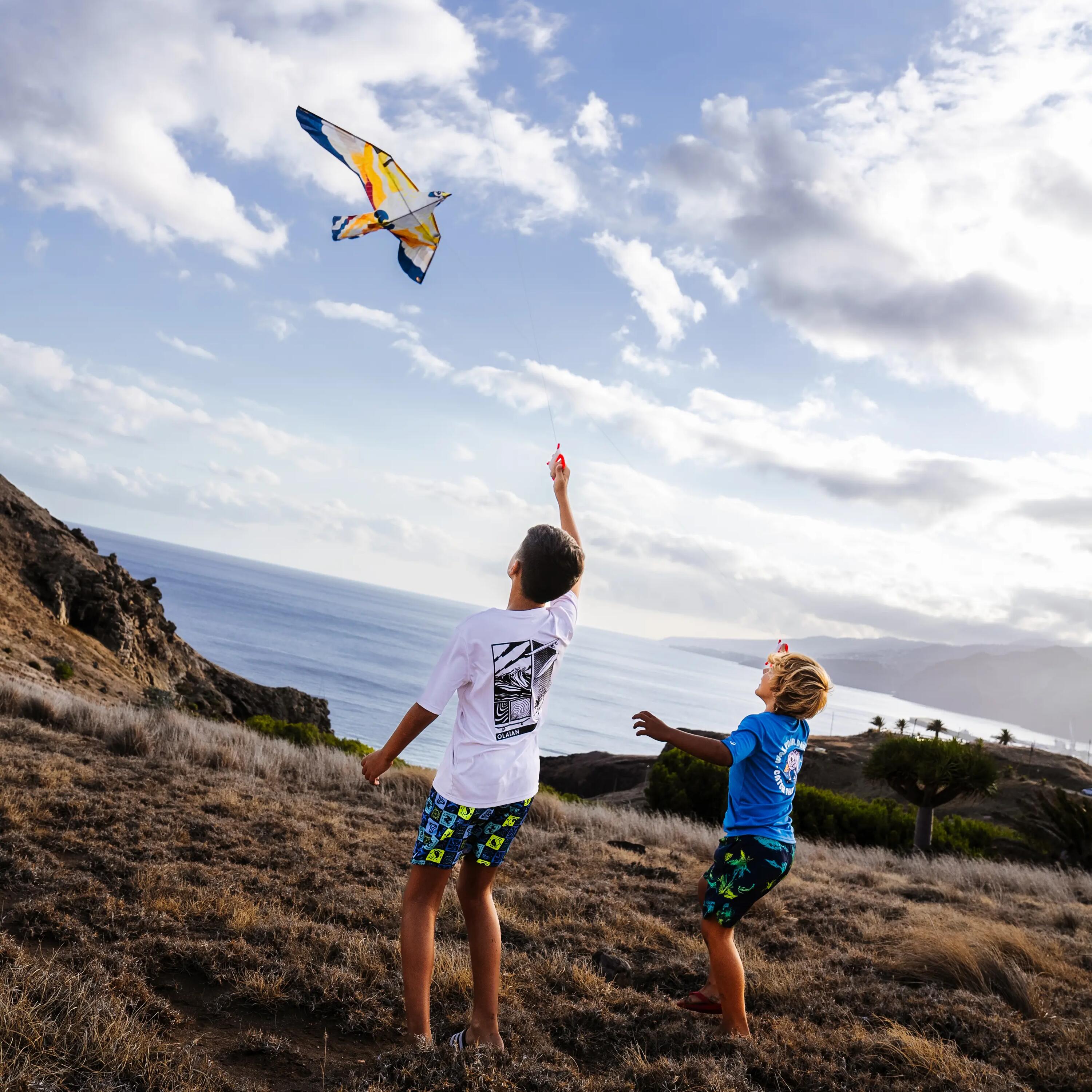 kids playing with kites