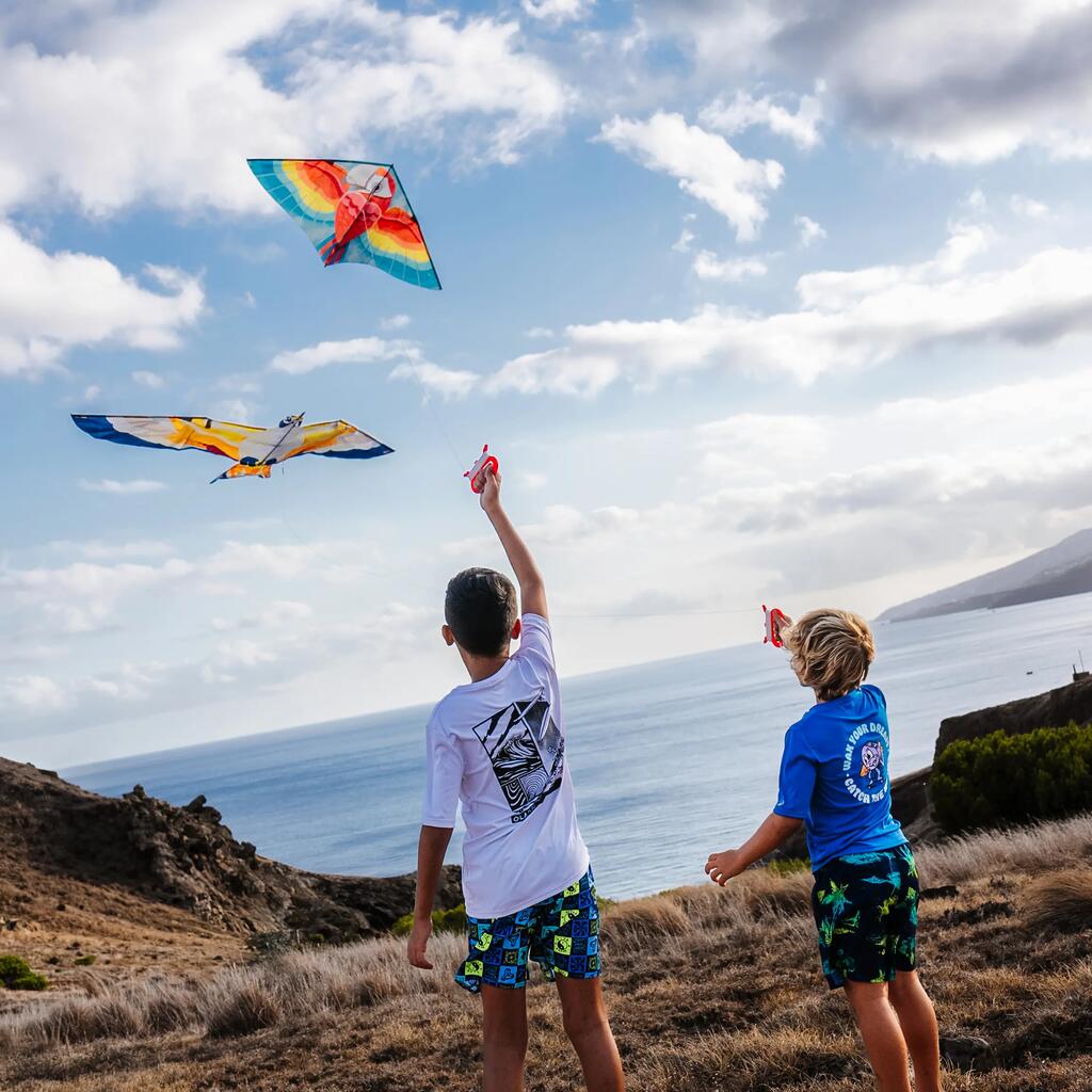 Cerf-volant statique Enfant  - MFK150 Oiseau