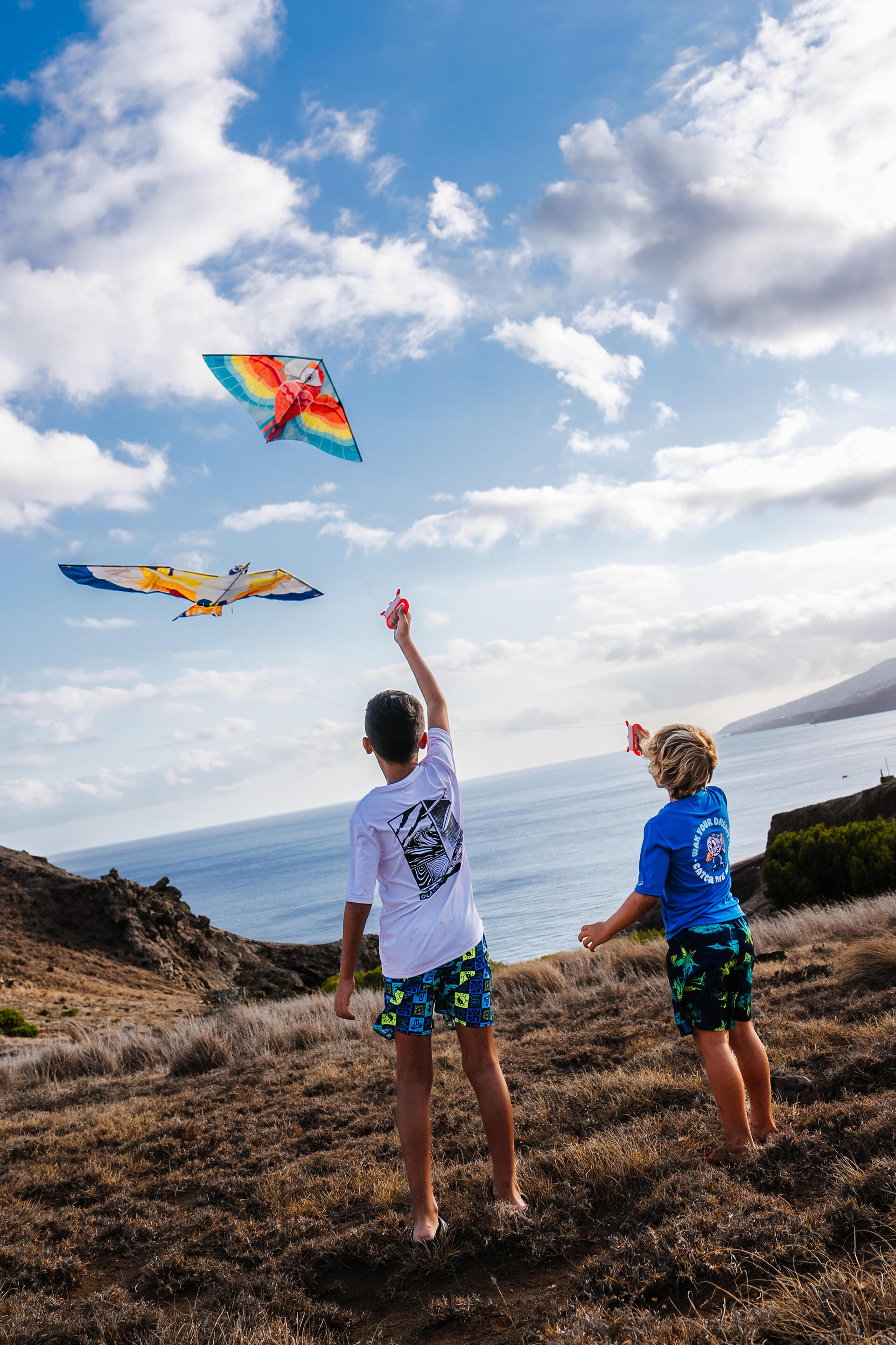Kids’ static kite - MFK150 Bird