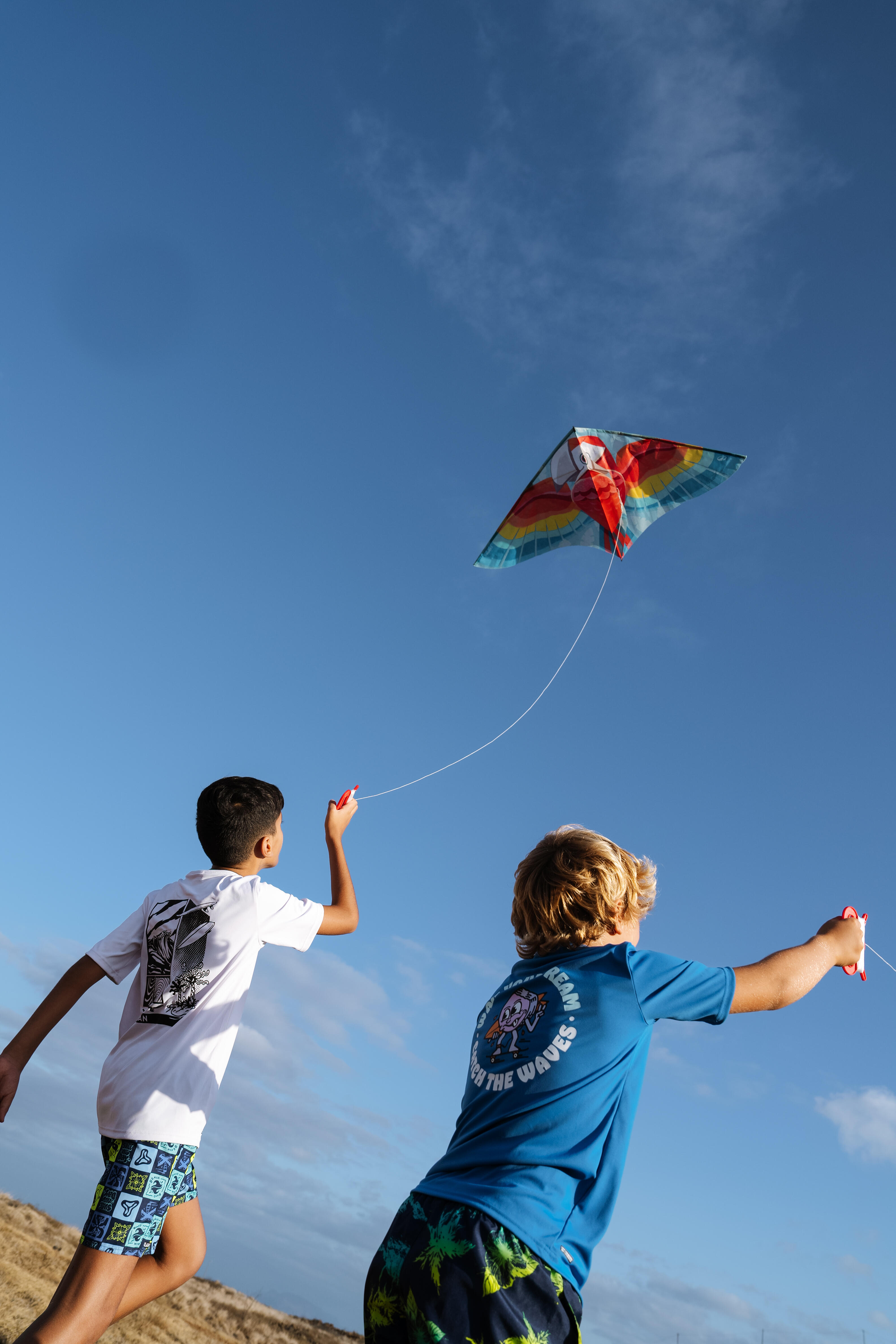 Cerf-volant statique enfant – MFK 100 perroquet - TRIBORD