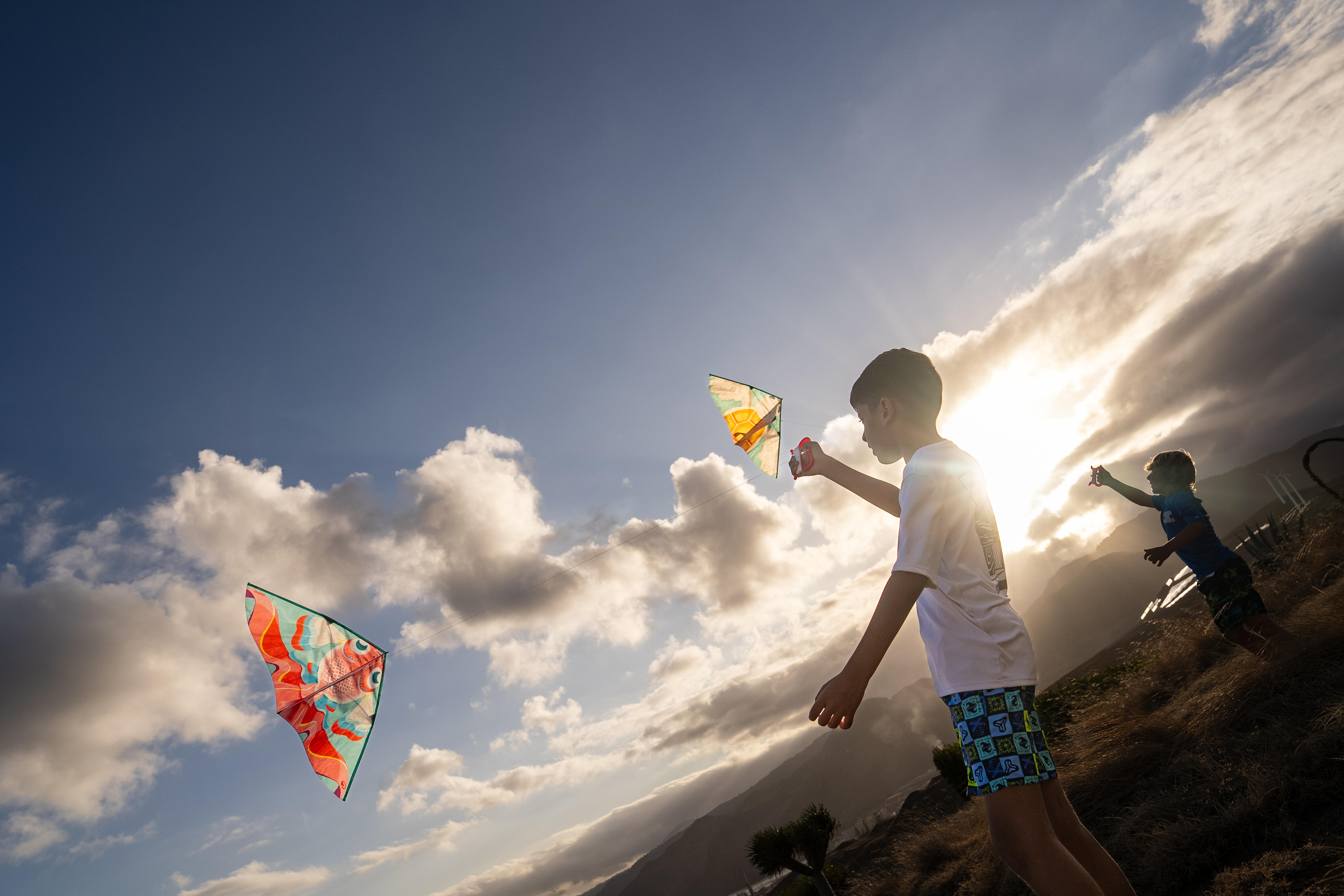 Kids’ Static Kite – MFK 100 Tortoise - TRIBORD