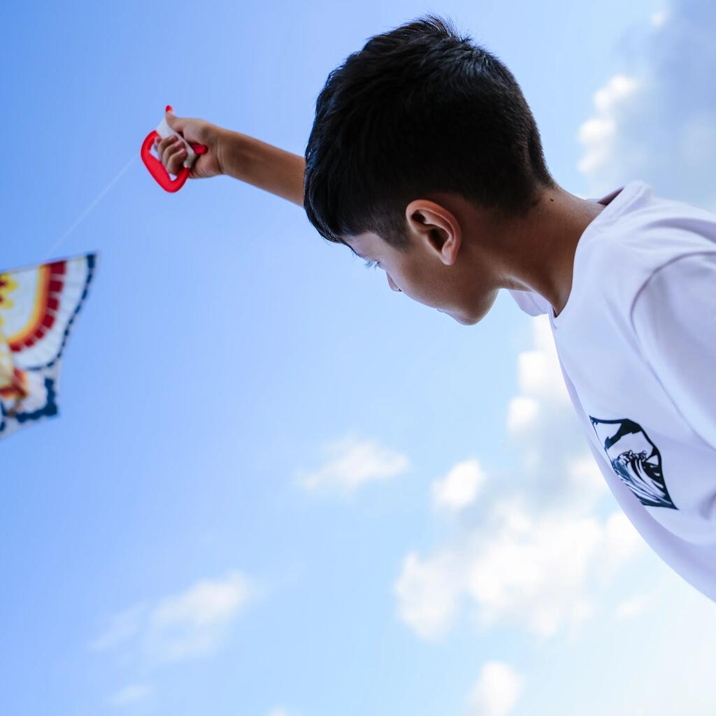Kids’ static kite - MFK 100 Tortoise