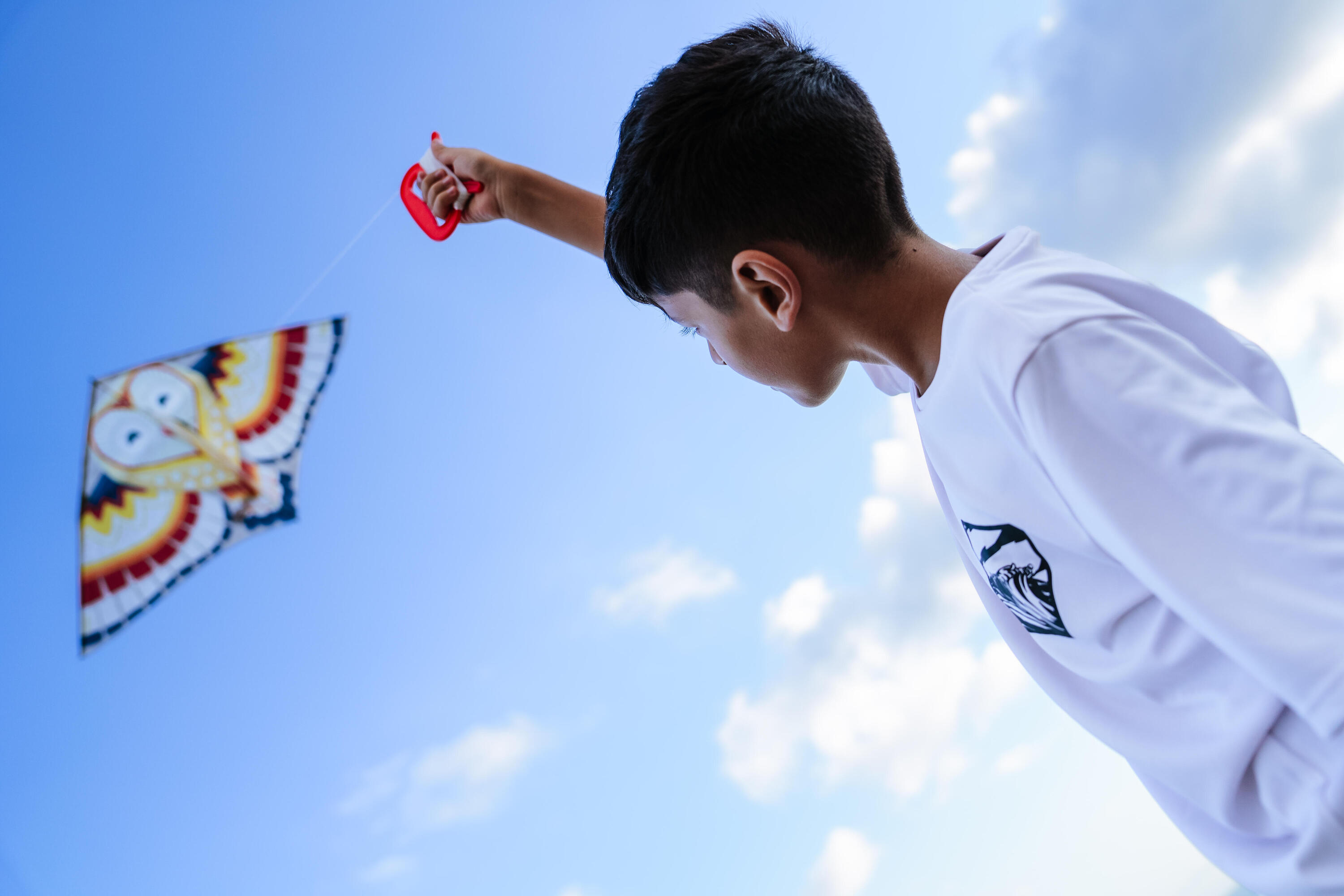 Cerf-volant statique enfant – MFK 100 chouette 2/10