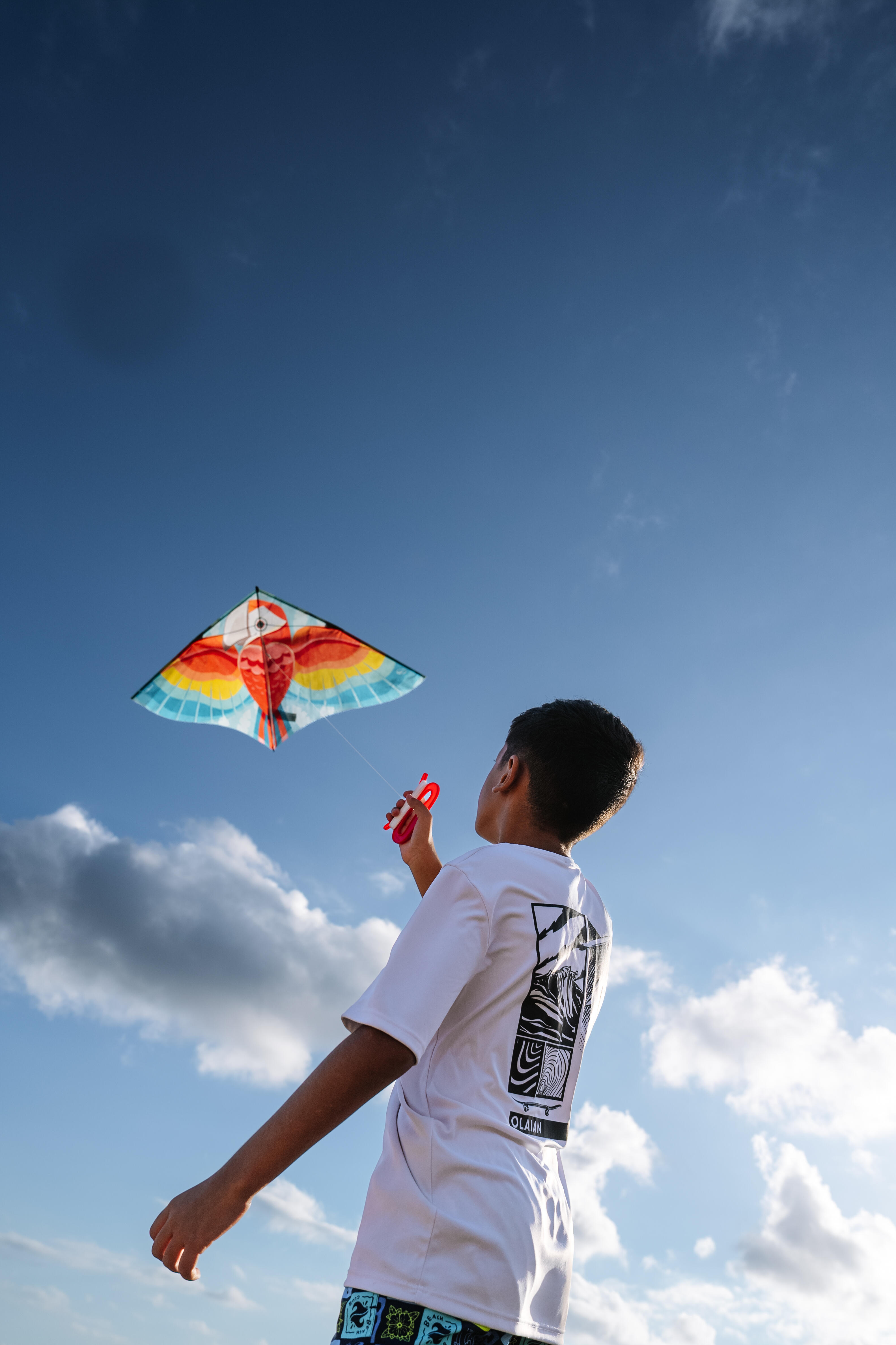 Cerf-volant statique enfant – MFK 100 perroquet - TRIBORD