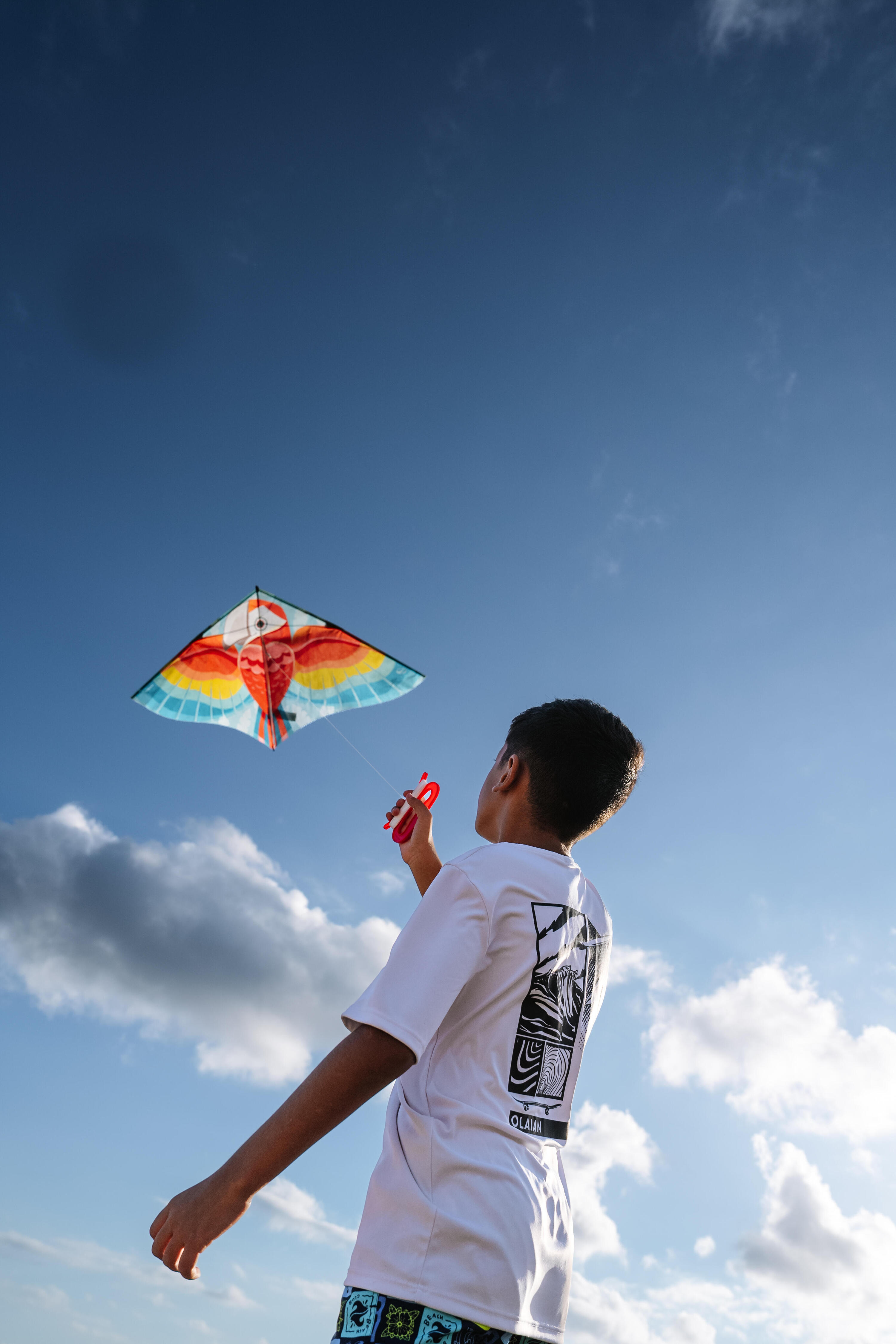 Cerf-volant statique enfant – MFK 100 perroquet 8/10
