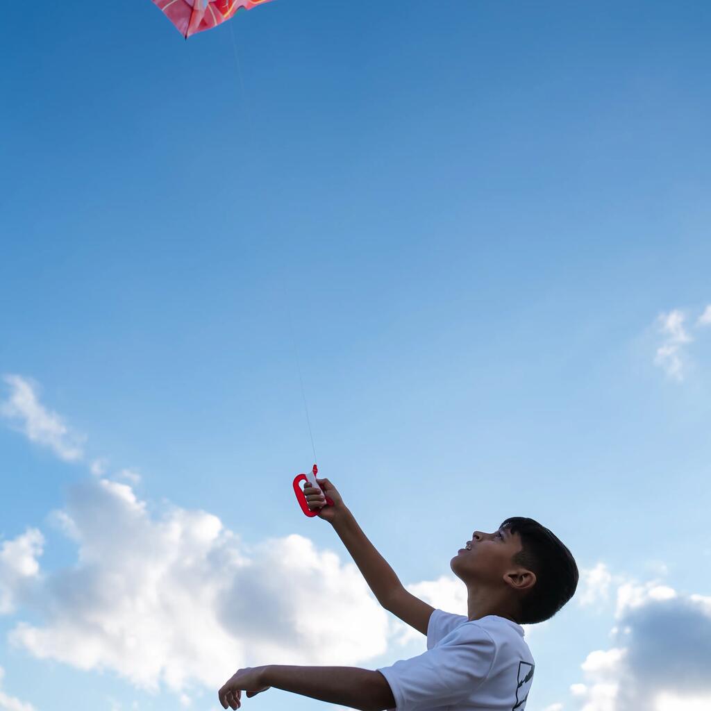 Kids’ static kite - MFK 100 Tortoise