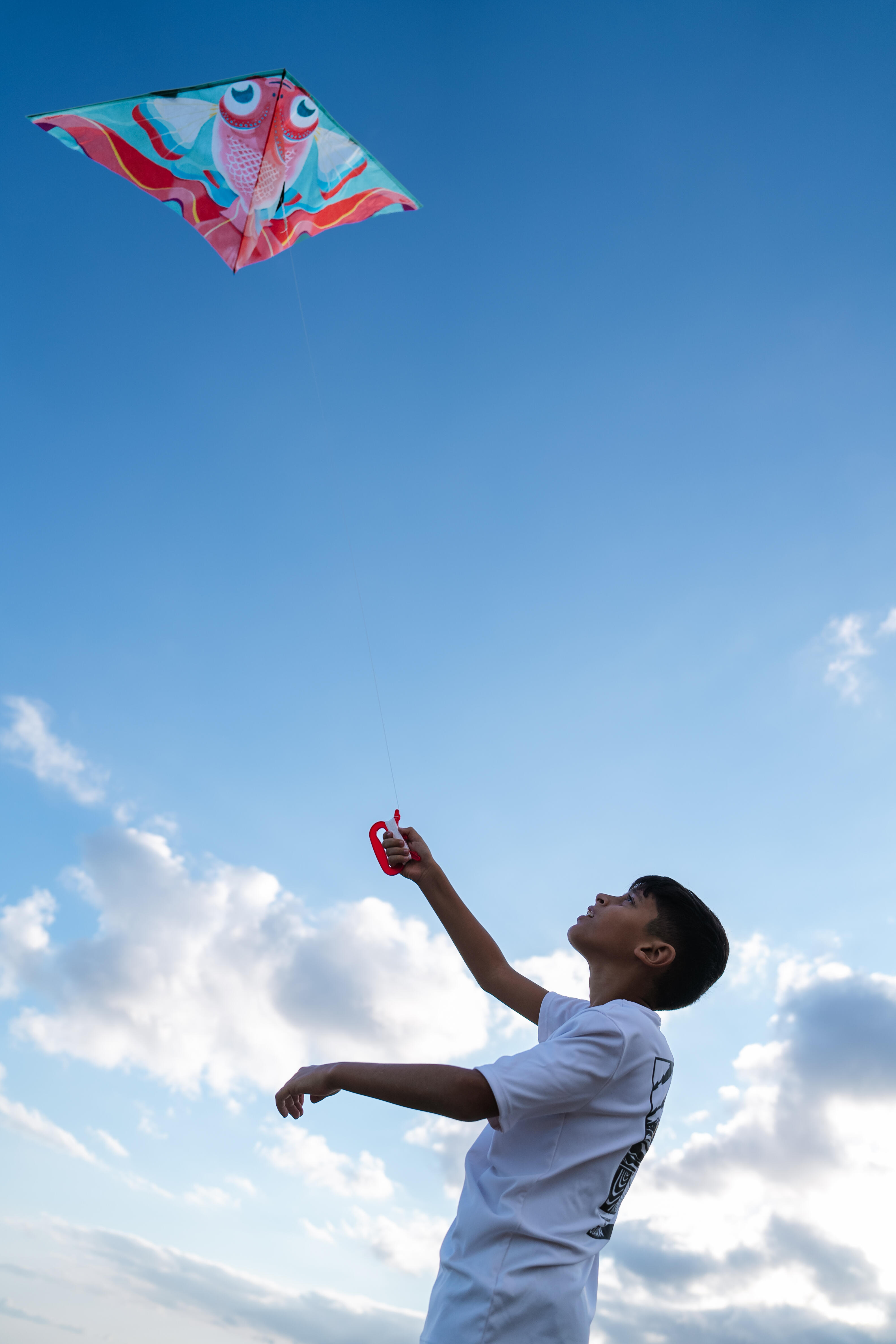 Cerf-volant statique enfant – MFK 100 poisson - TRIBORD