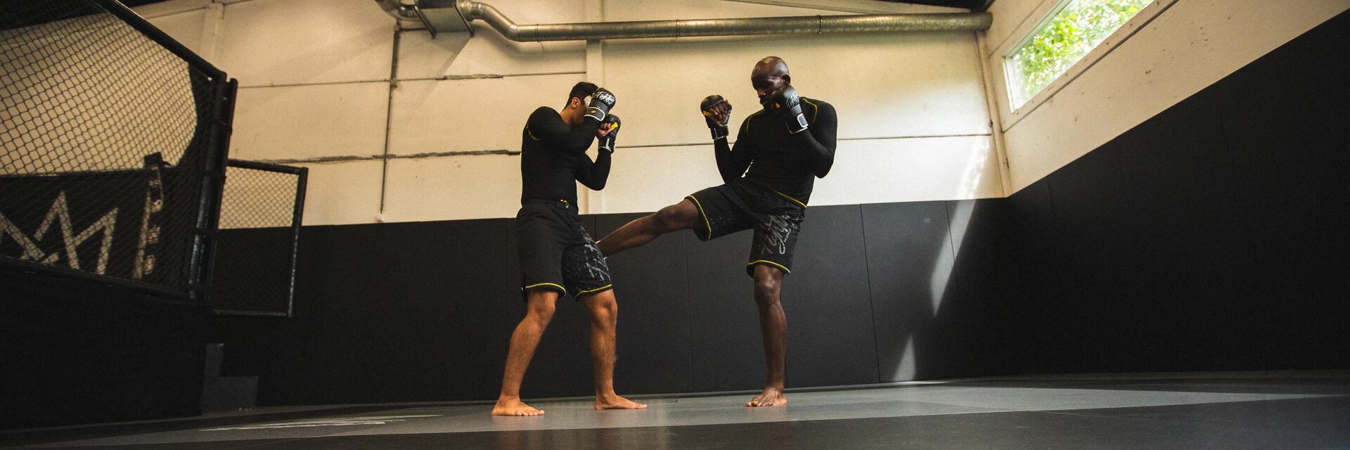 Zwei Kampfsportler mit MMA-Handschuhen während einer Trainingseinheit in der Halle