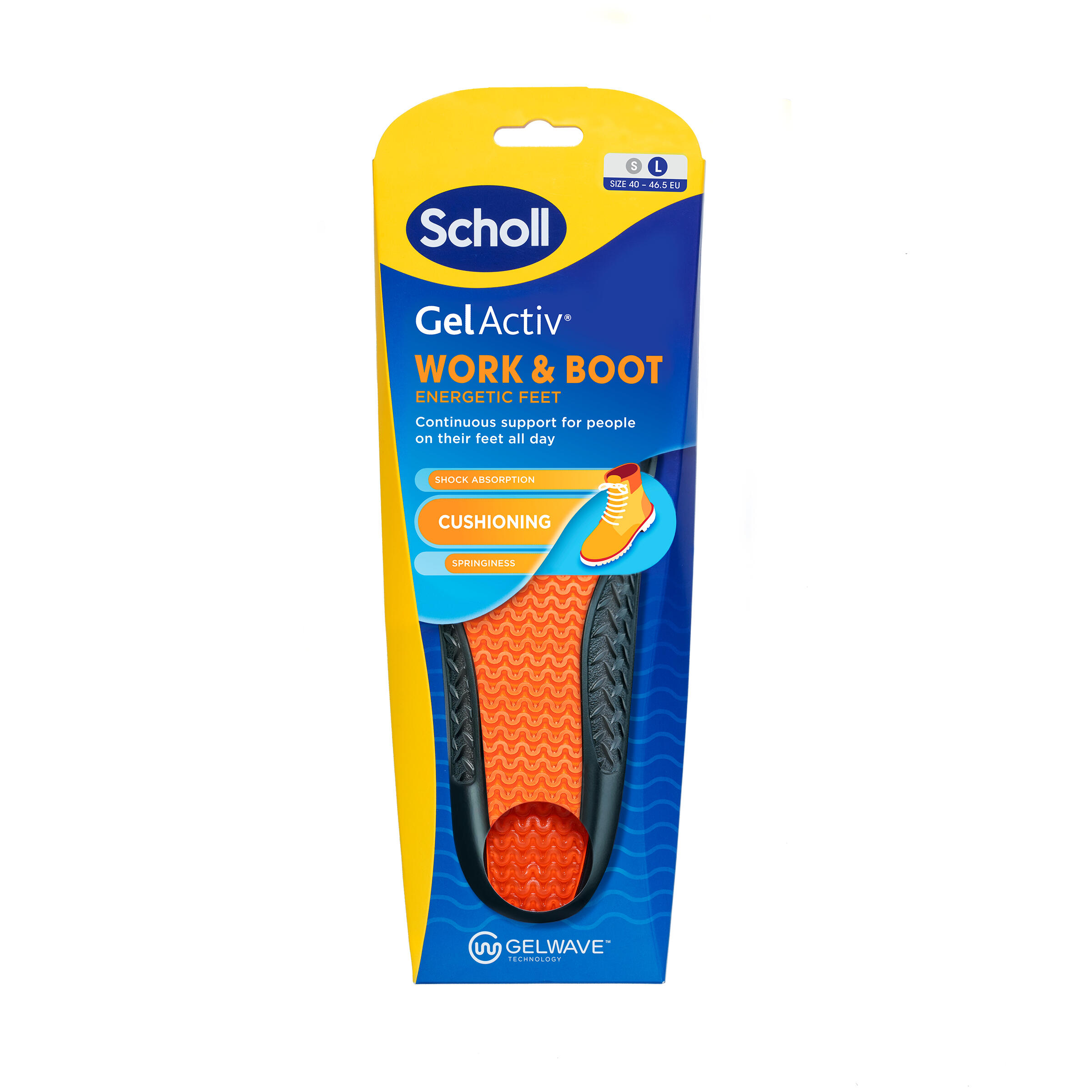 SCHOLL picture