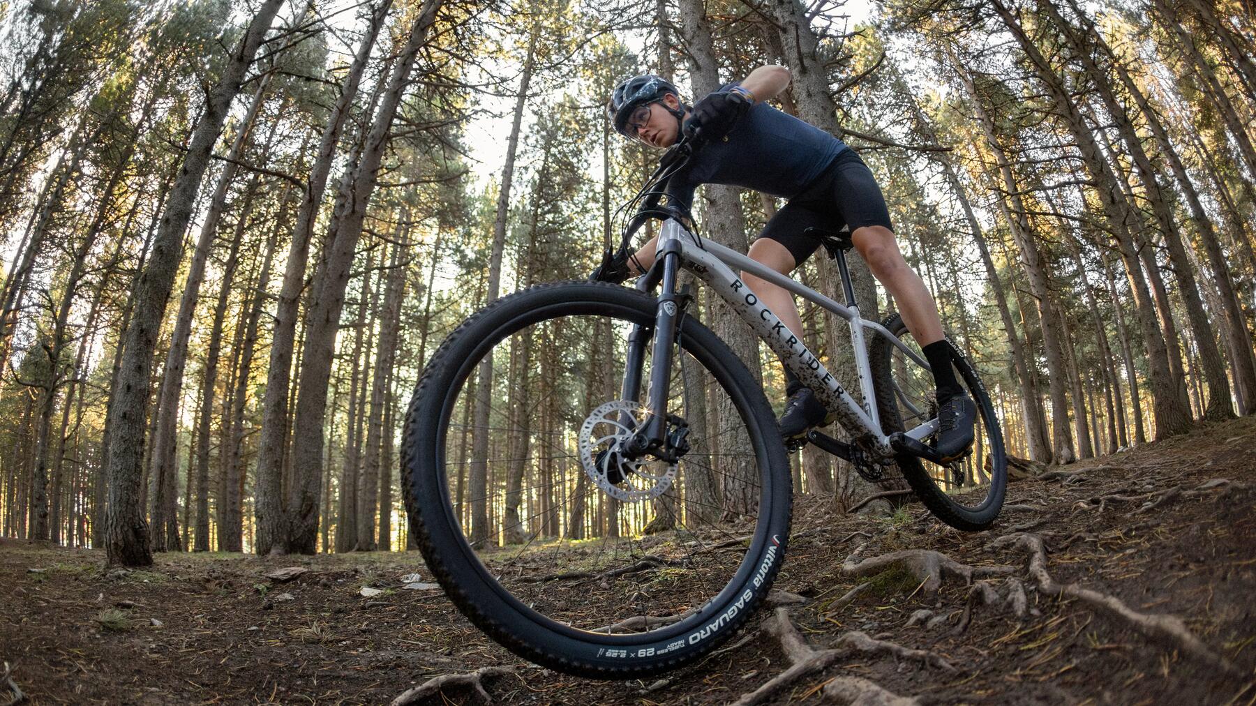 TRASEELE PENTRU BICICLETĂ ȘI DEZVOLTAREA CICLOTURISMULUI ÎN ROMÂNIA