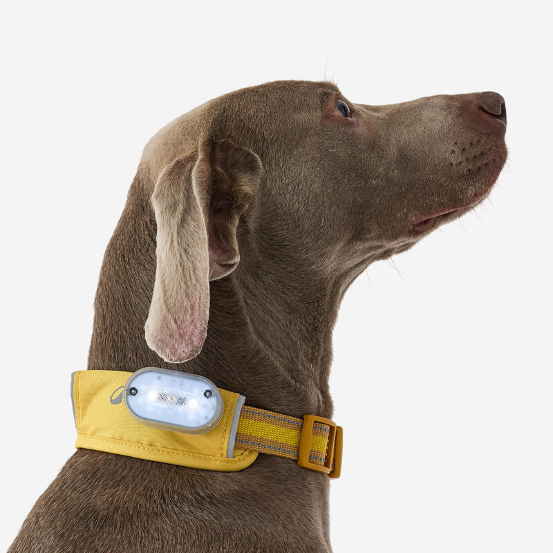 Collier pour chien 500 jaune