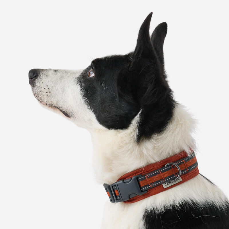 Collier pour chien 500 terracotta