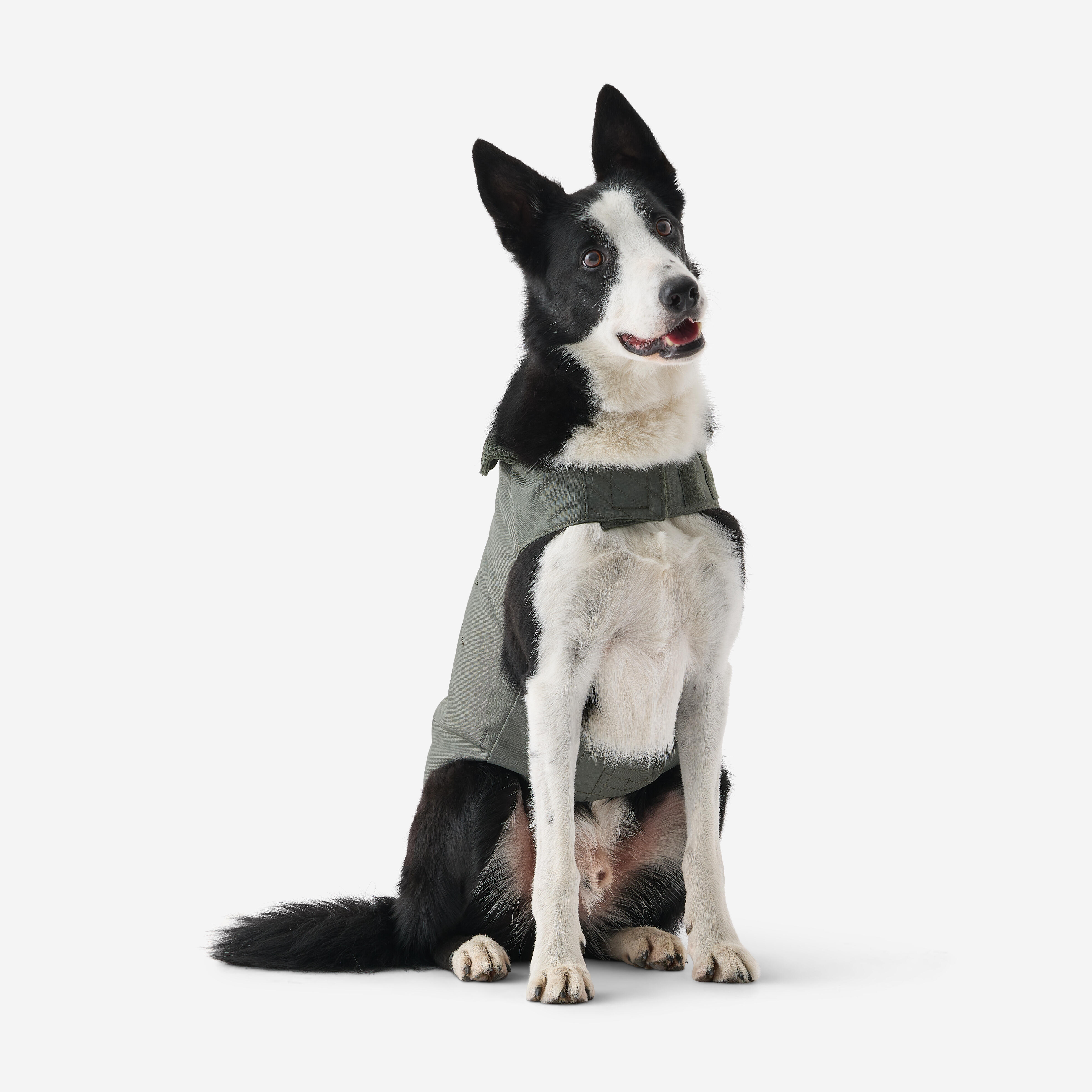 Warm Sporting Dog Vest  - SOLOGNAC